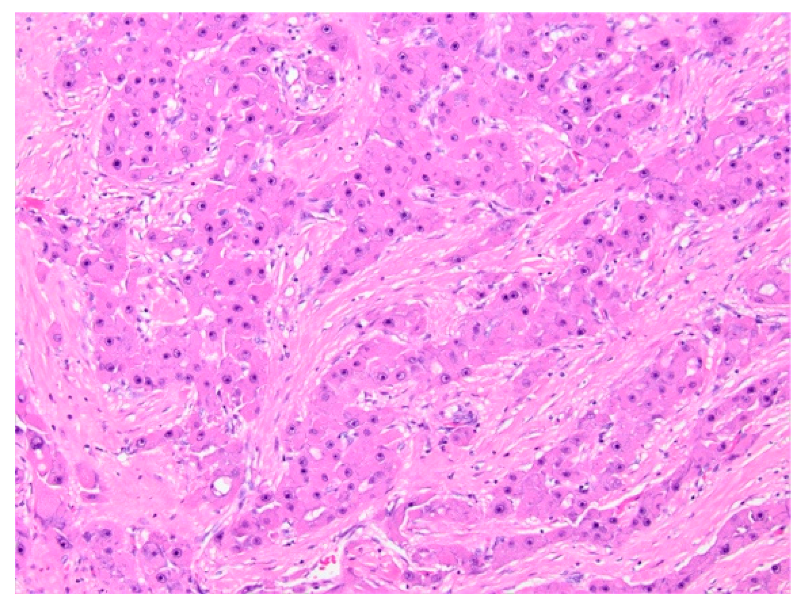 Diagnostics 11 00333 g012