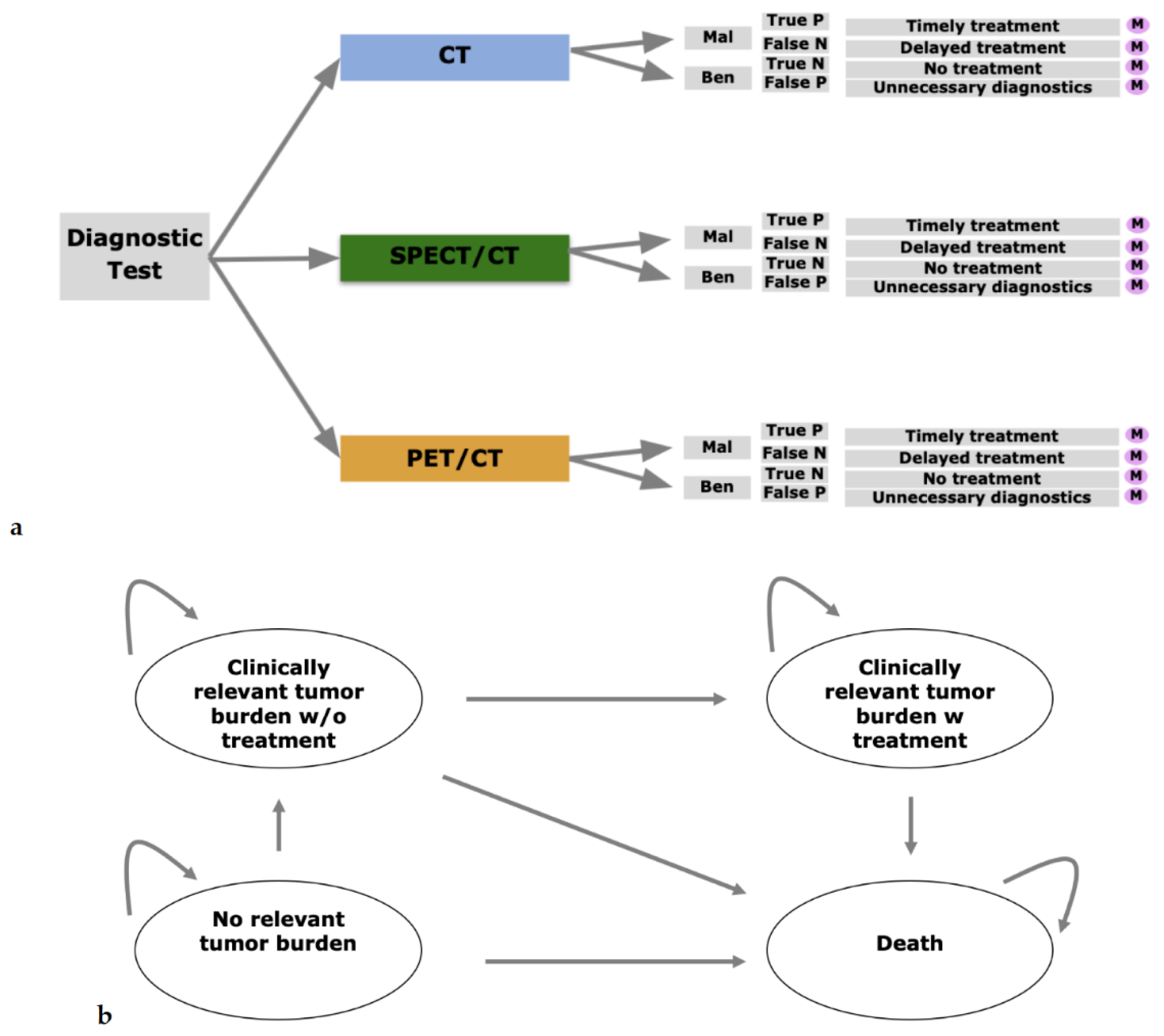 Diagnostics 11 00334 g001