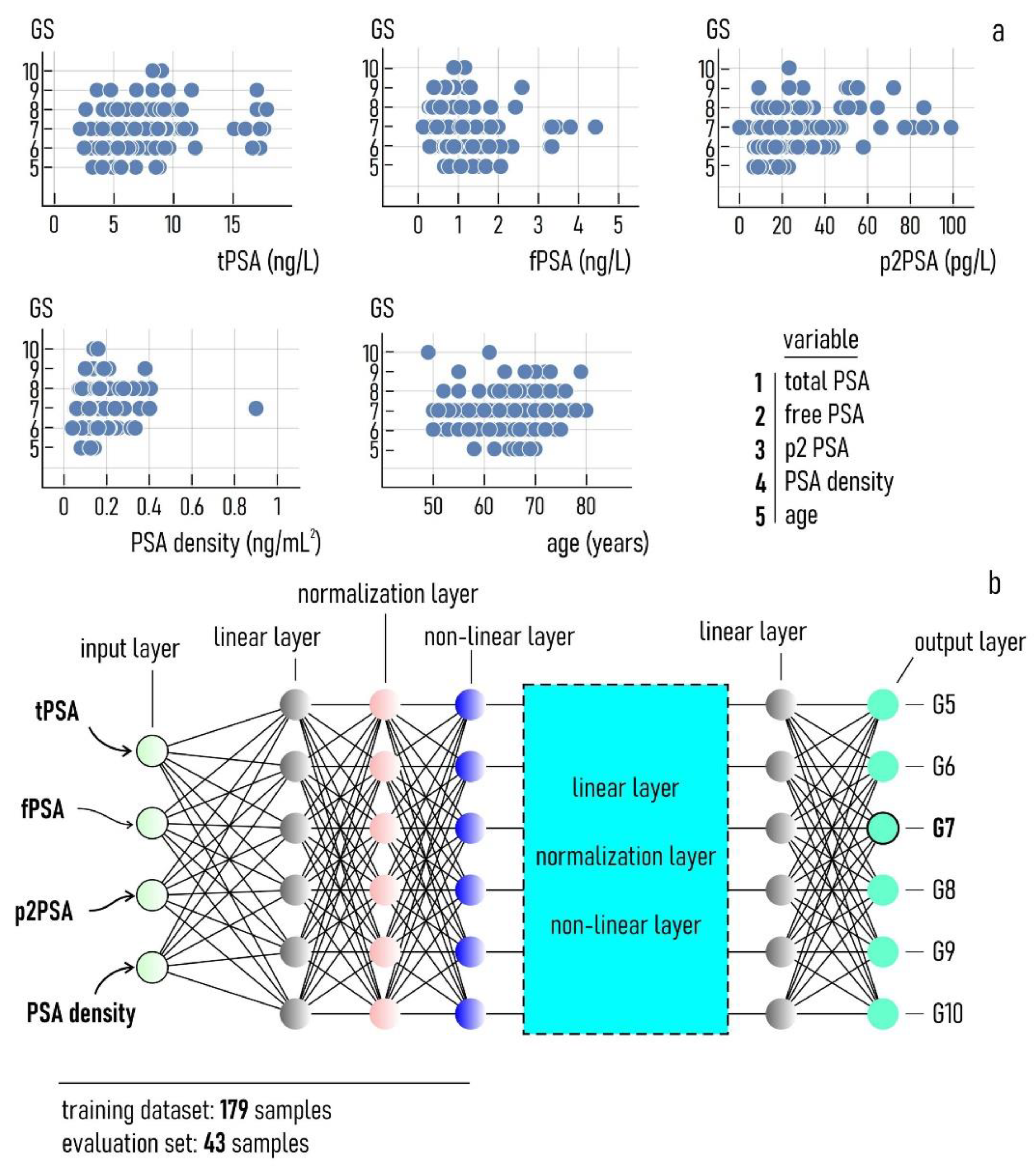 Diagnostics 11 00335 g002