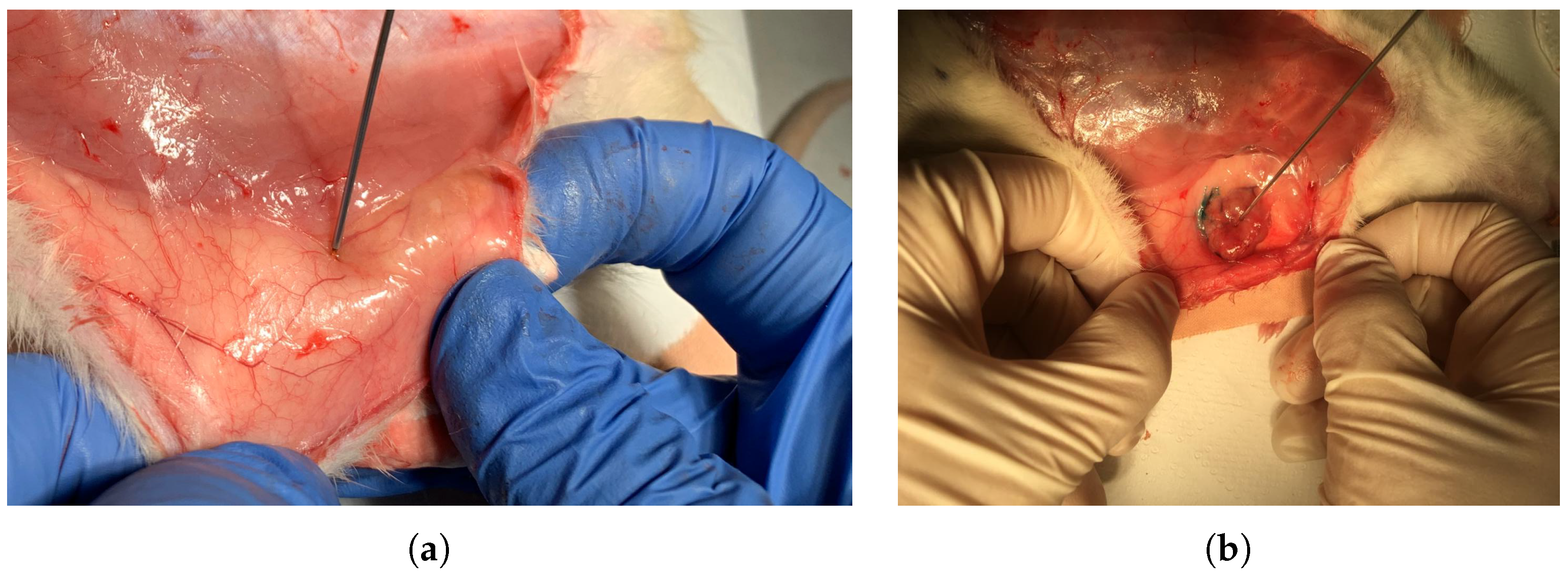 Diagnostics 11 00338 g002