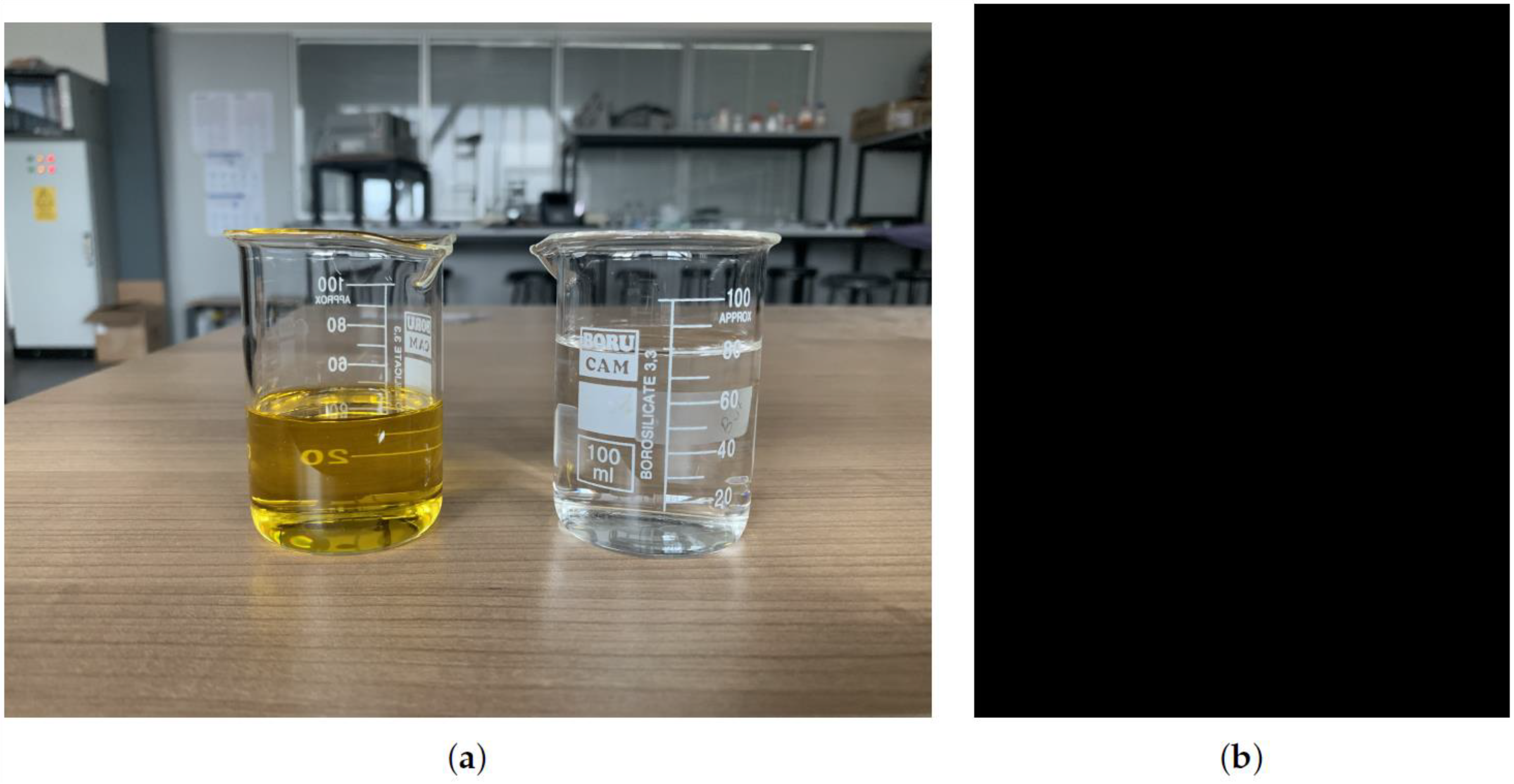 Diagnostics 11 00338 g006