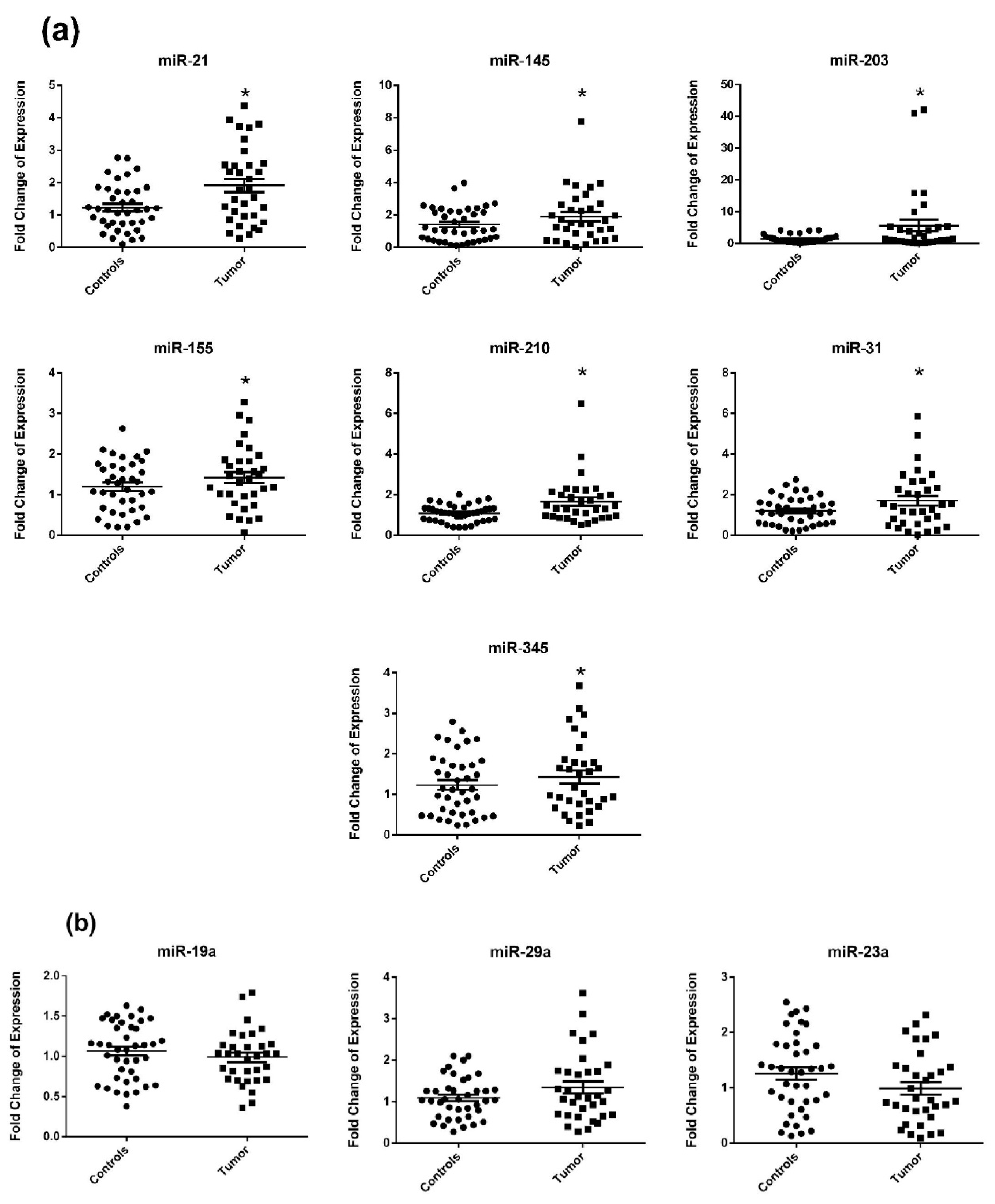 Diagnostics 11 00341 g001