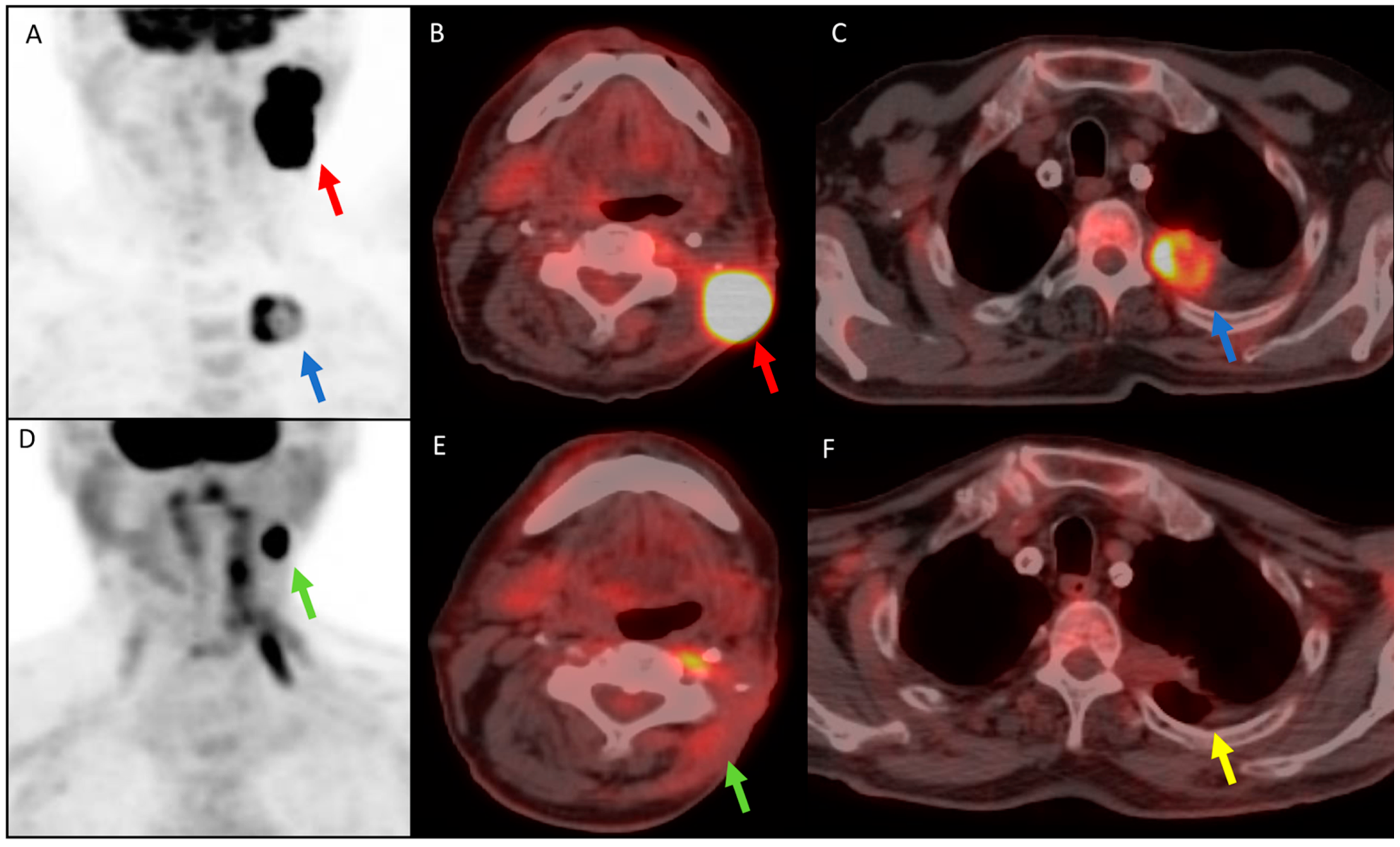 Diagnostics 11 00348 g001