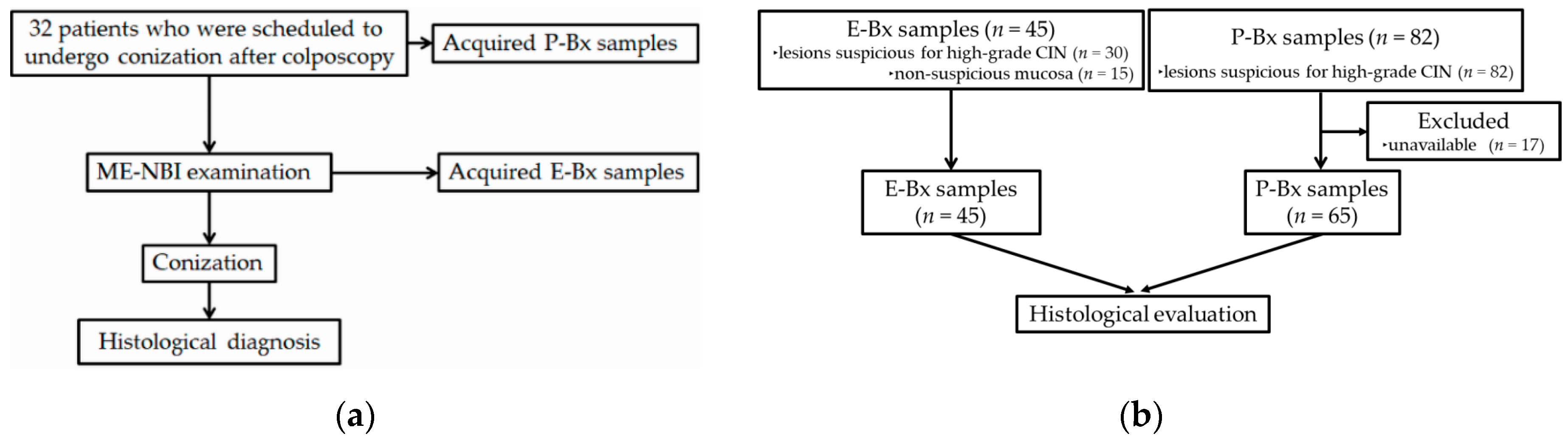 Diagnostics 11 00360 g001