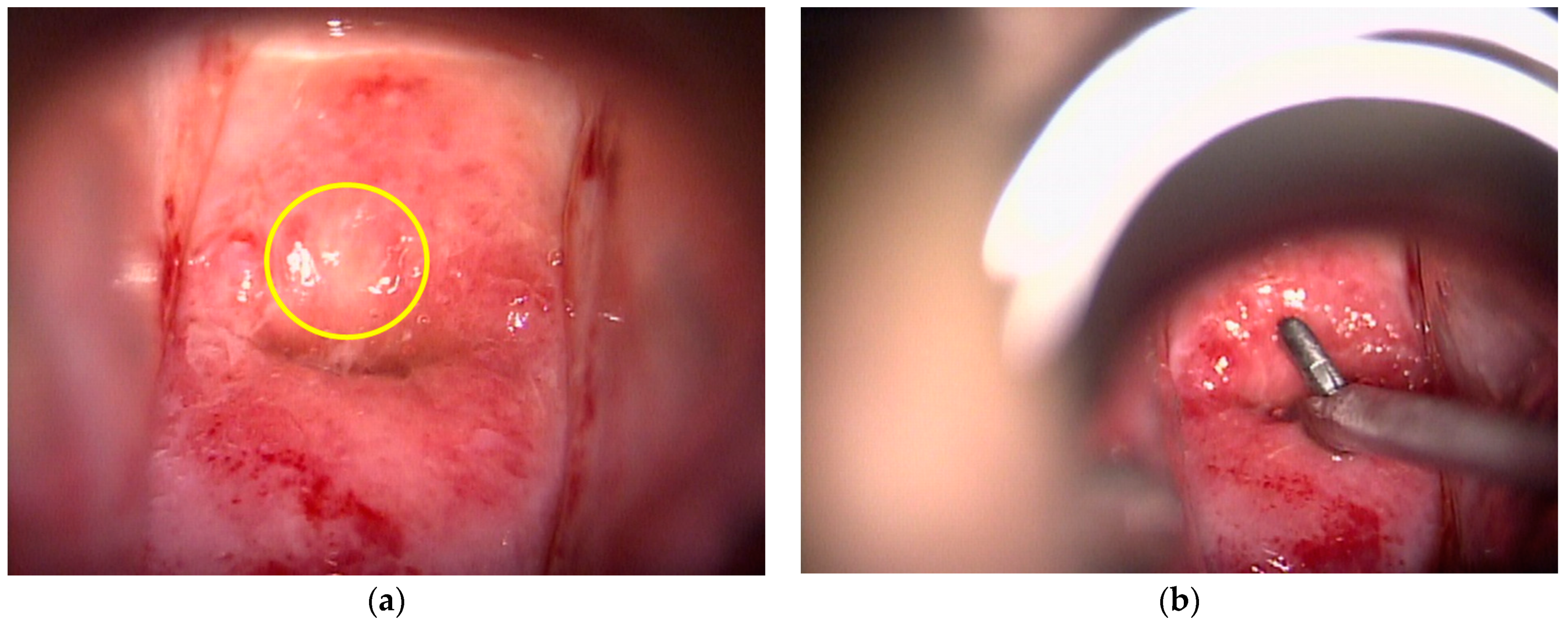 Diagnostics 11 00360 g002