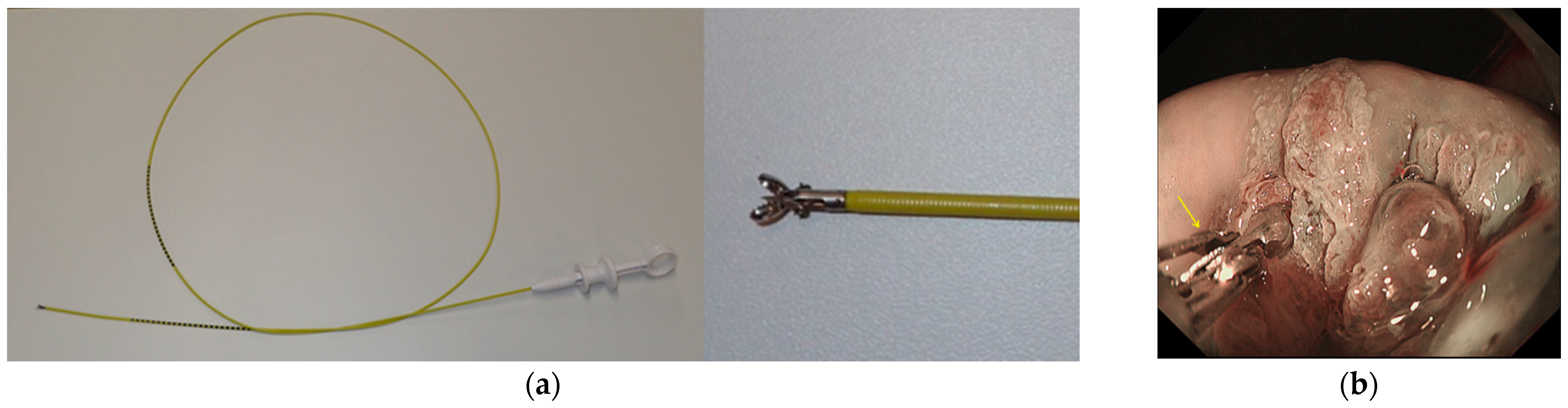 Diagnostics 11 00360 g004