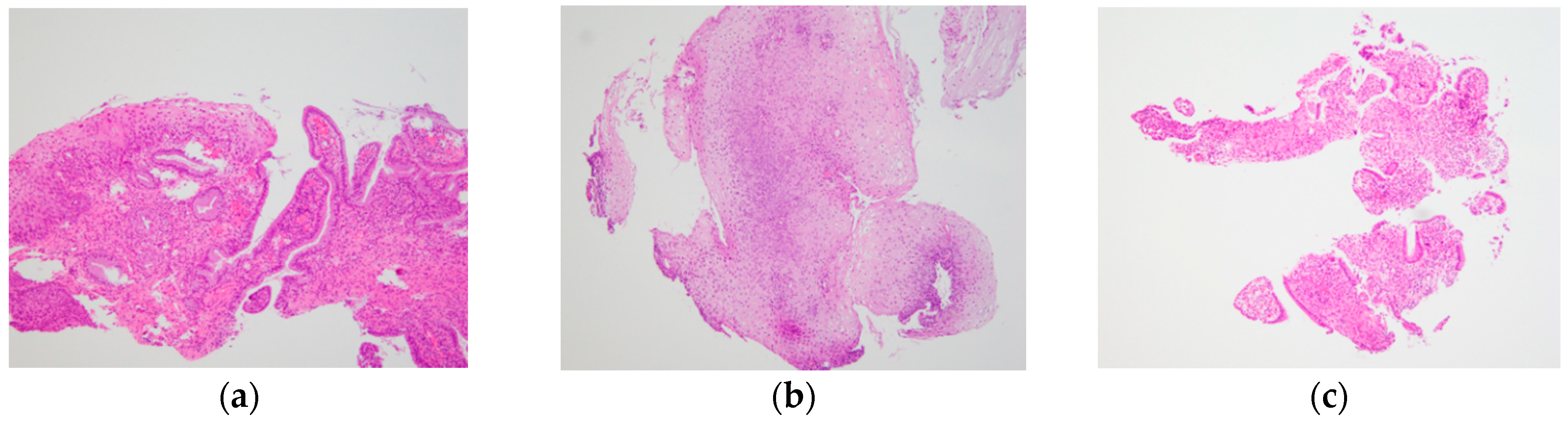 Diagnostics 11 00360 g005