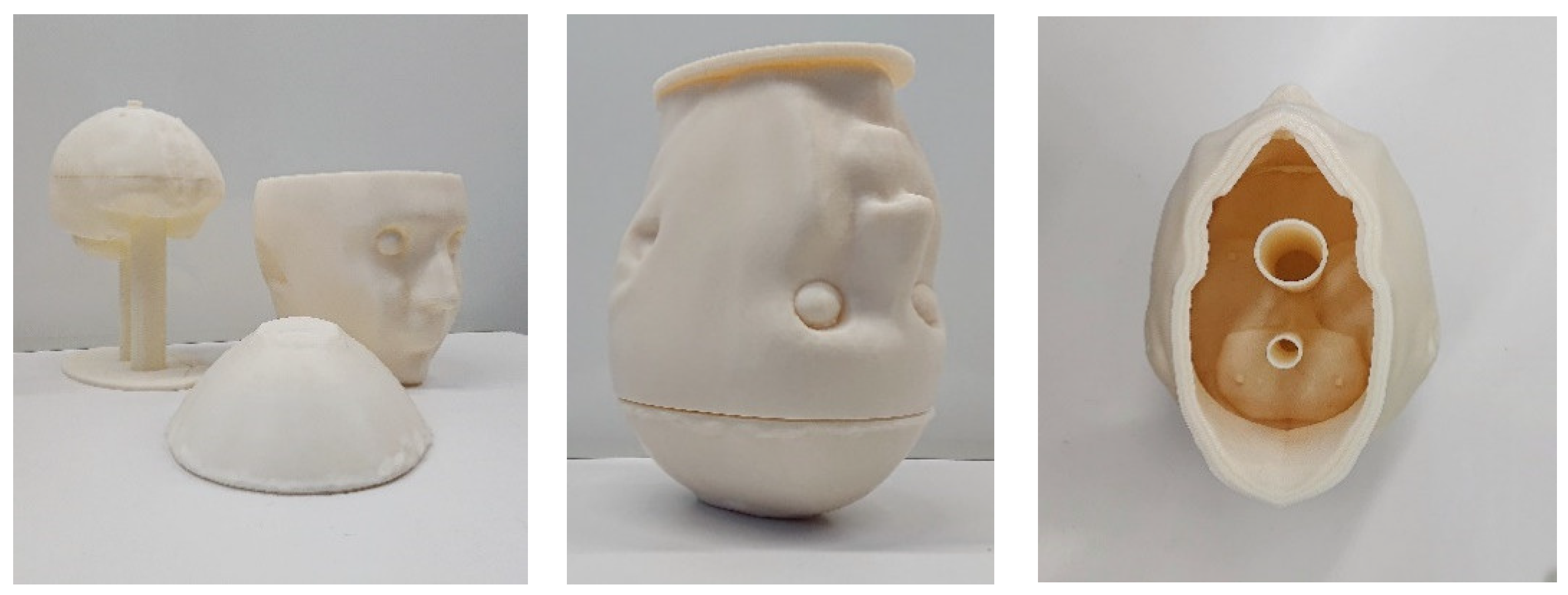 Diagnostics 11 00376 g003