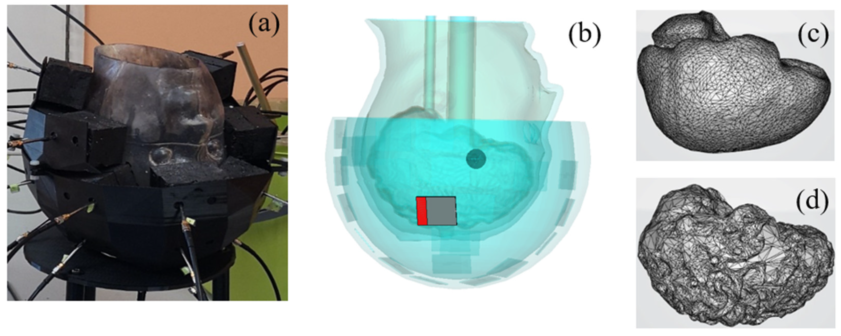 Diagnostics 11 00376 g005