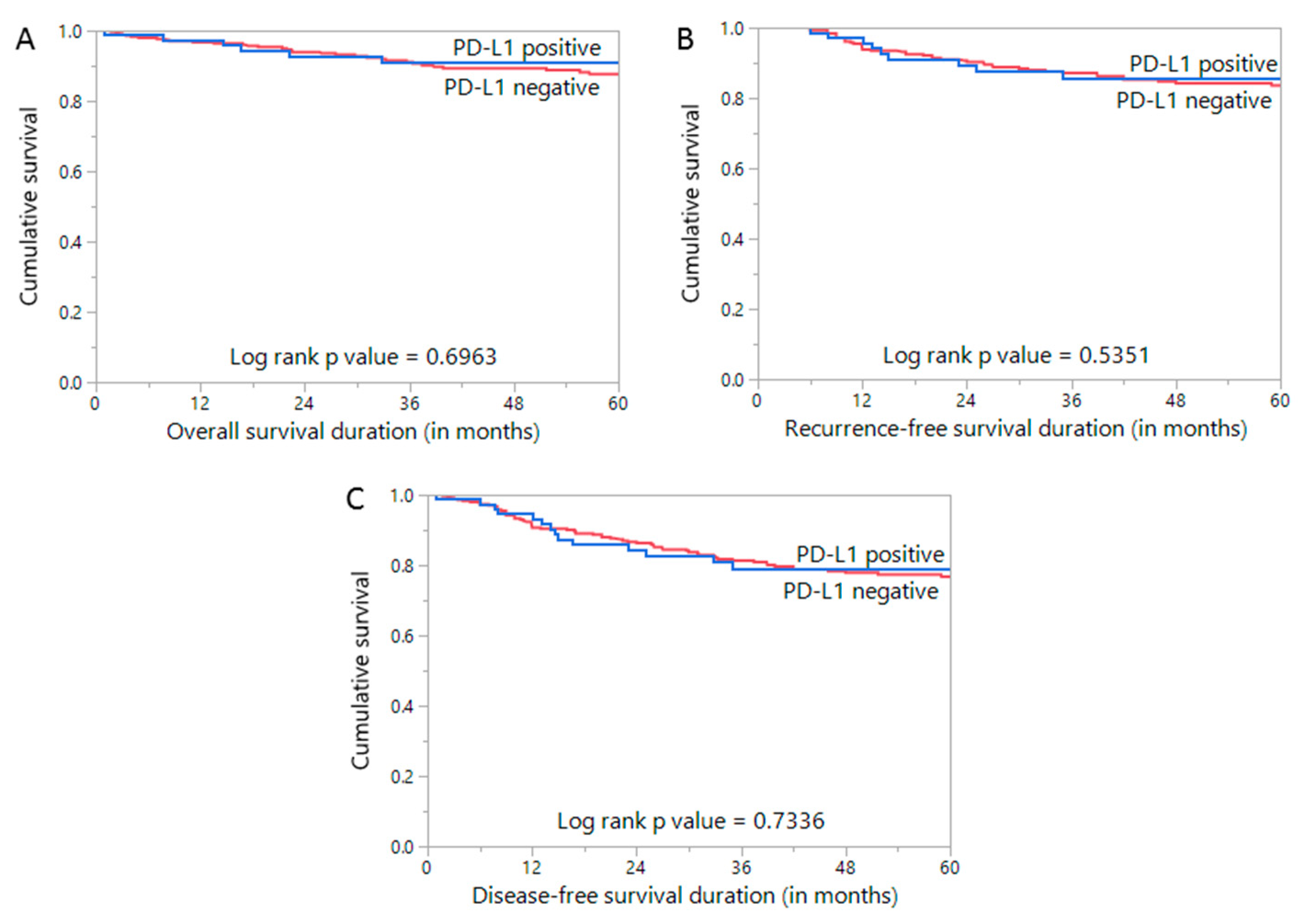 Diagnostics 11 00394 g002 Diagnostics 11 00394 g002