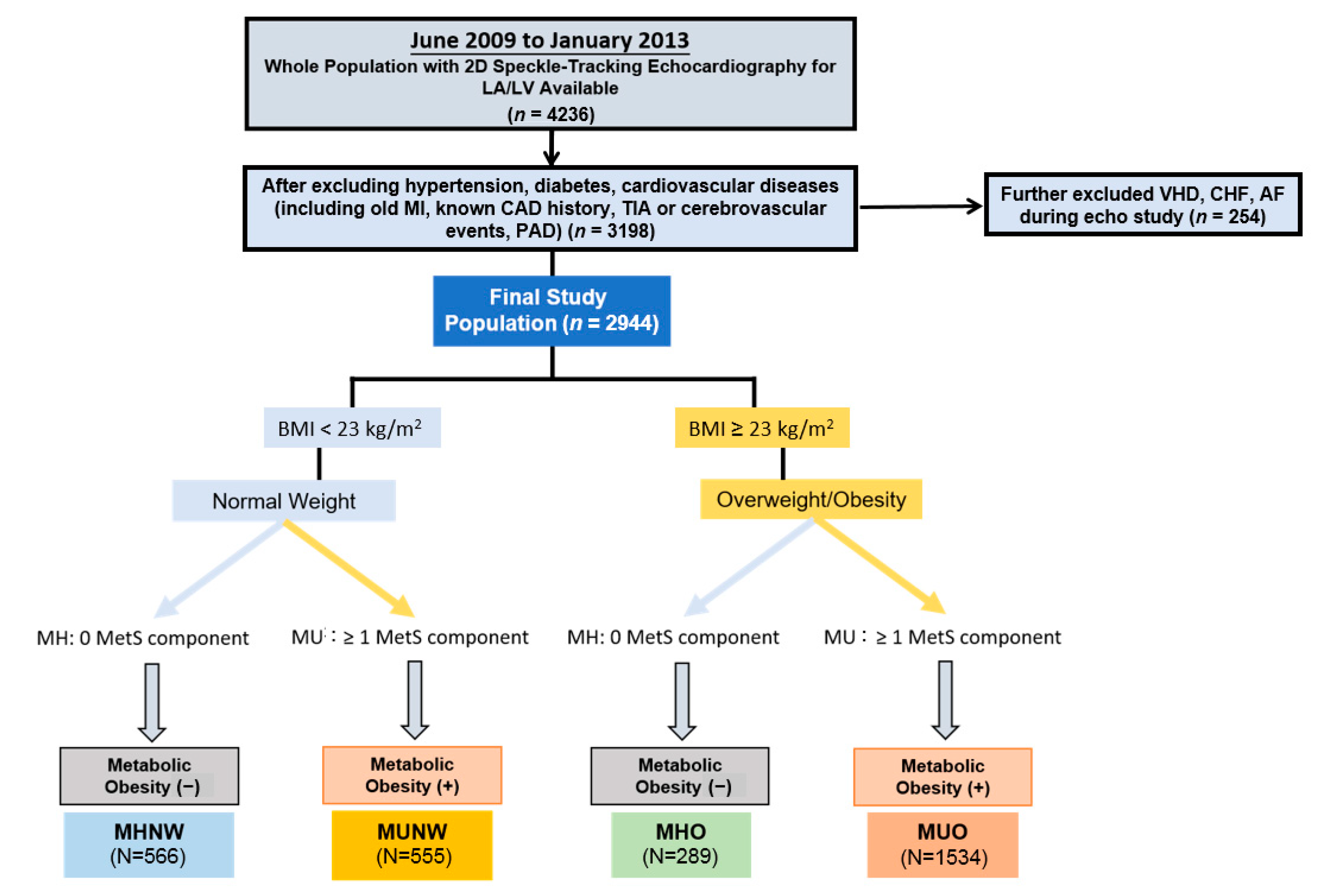 Diagnostics 11 00408 g001