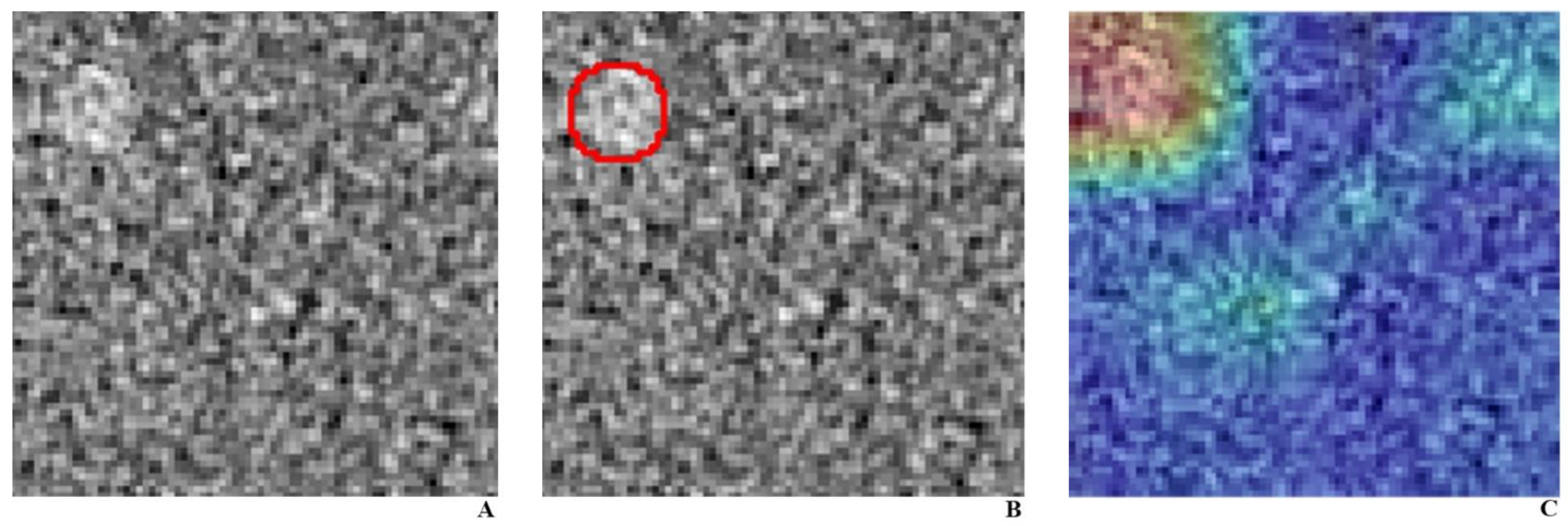 Diagnostics 11 00410 g003