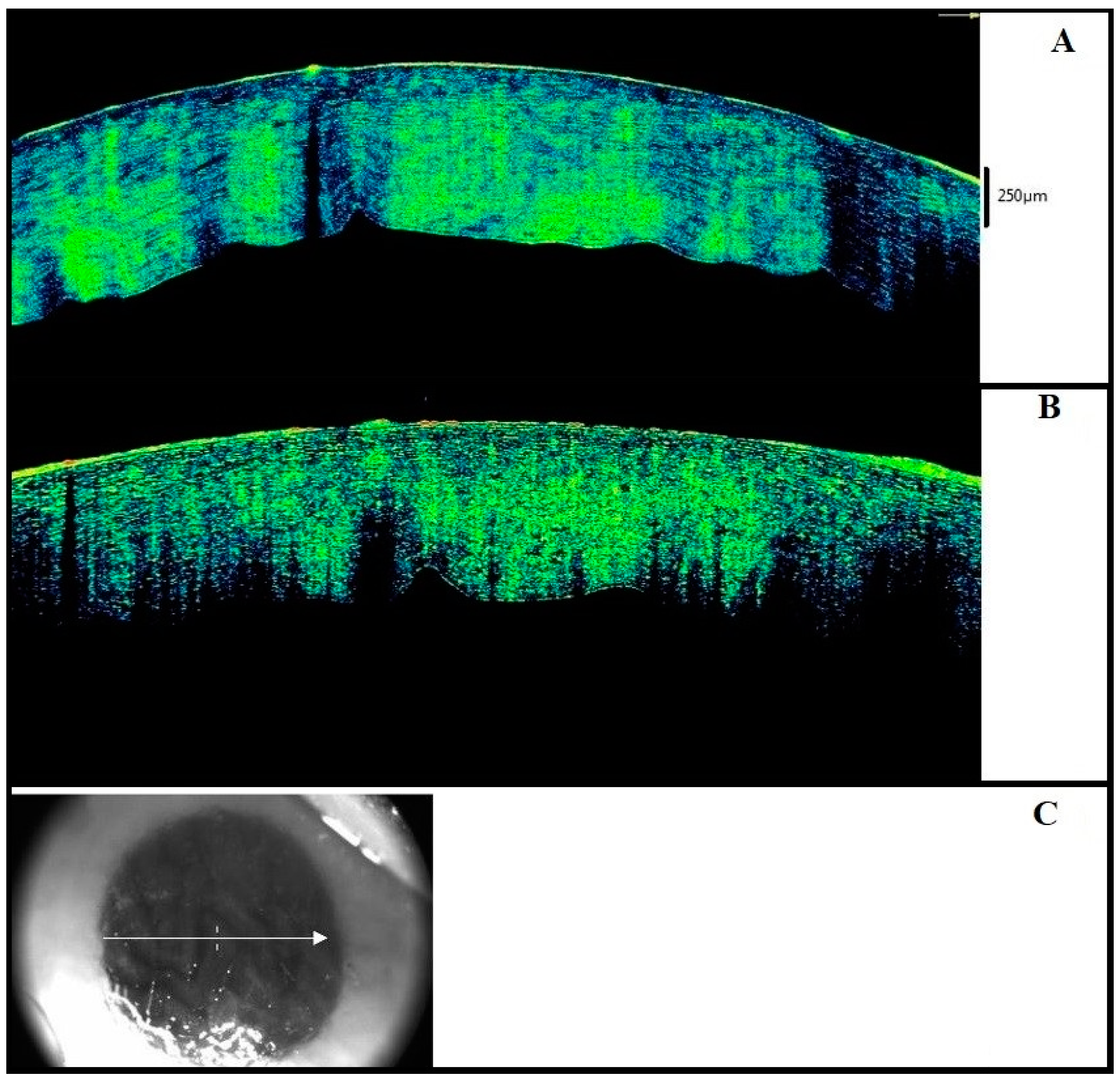 Diagnostics 11 00413 g003