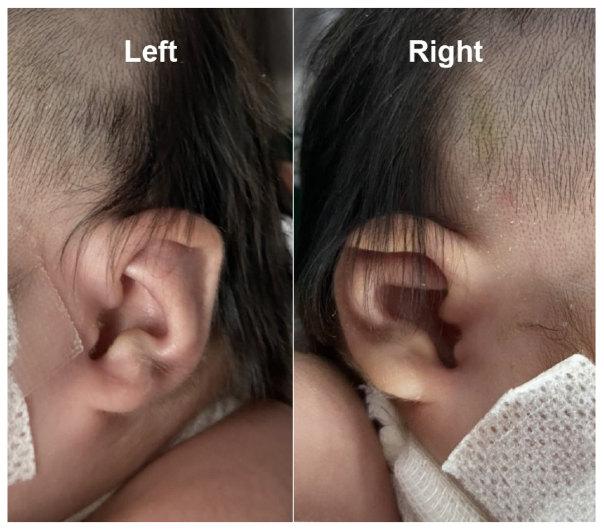 Diagnostics 11 00415 g005 Diagnostics 11 00415 g005