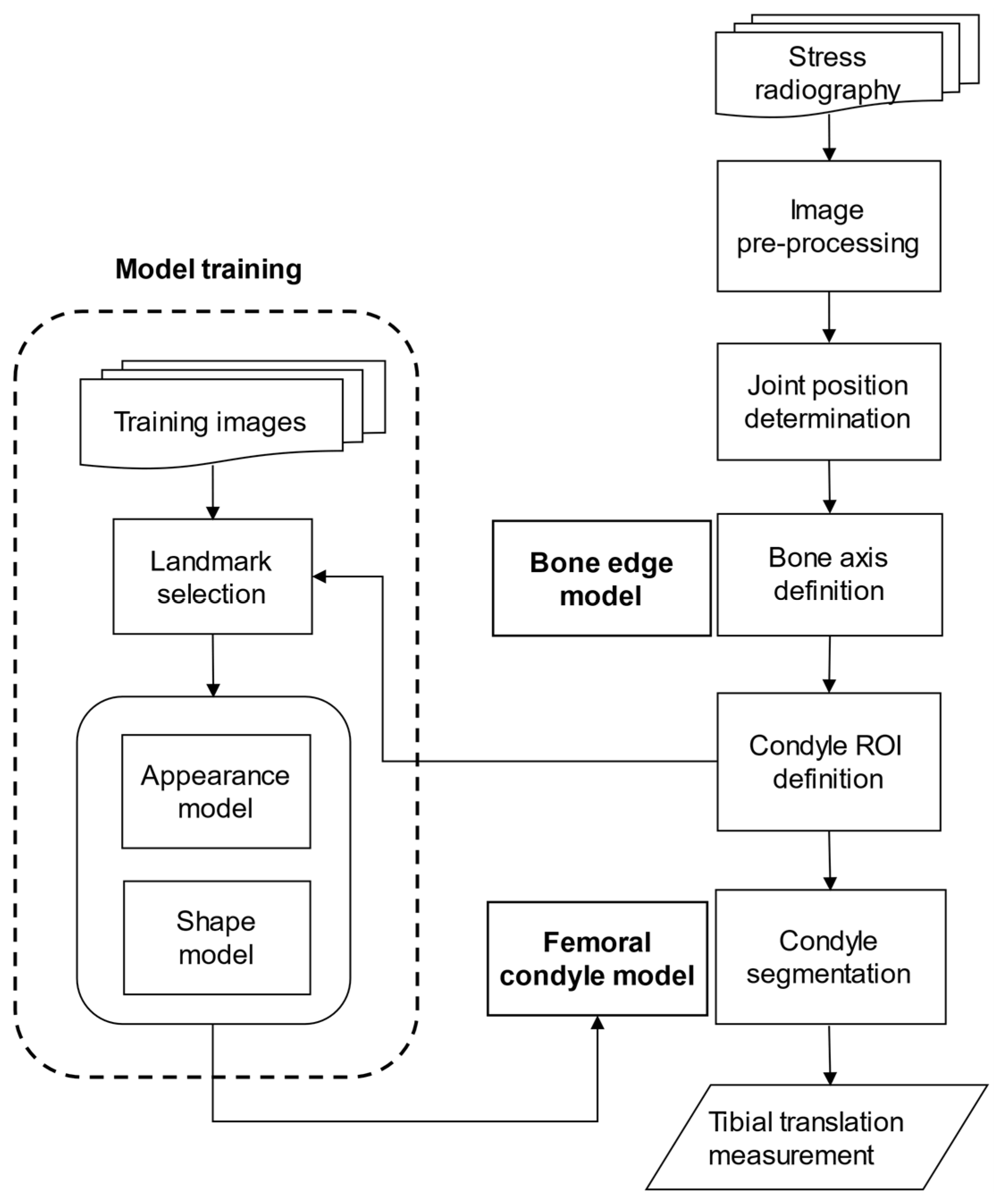 Diagnostics 11 00419 g002