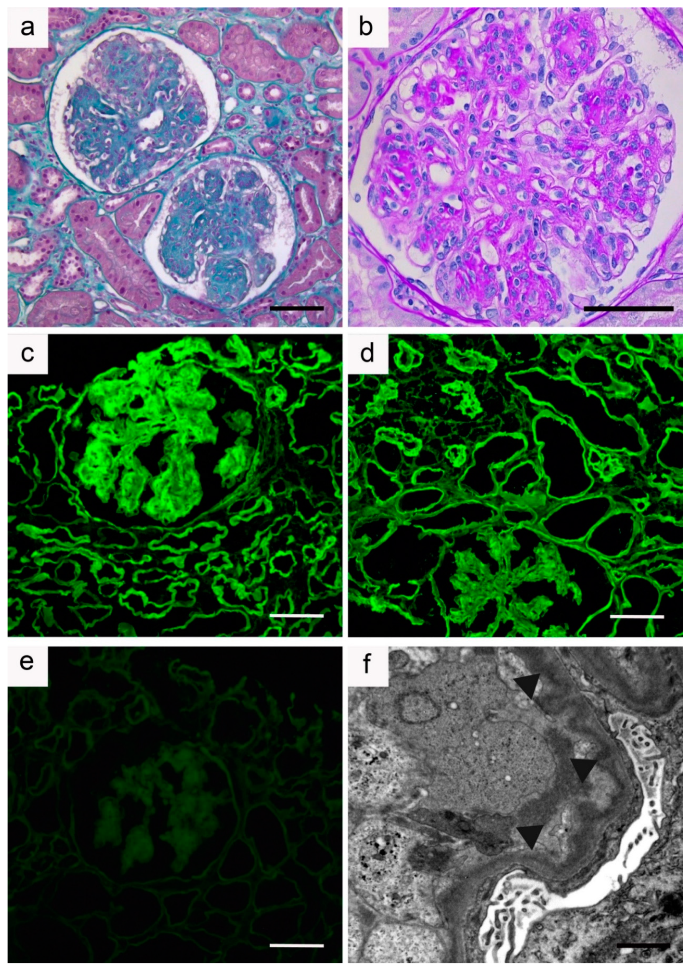 Diagnostics 11 00420 g003