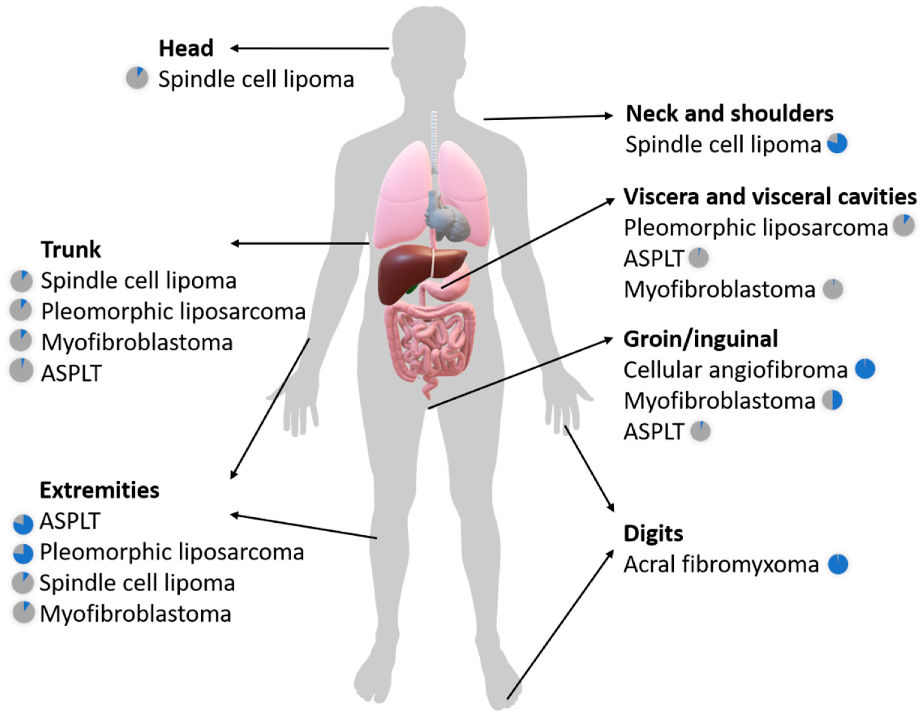 Diagnostics 11 00430 g001 Diagnostics 11 00430 g001