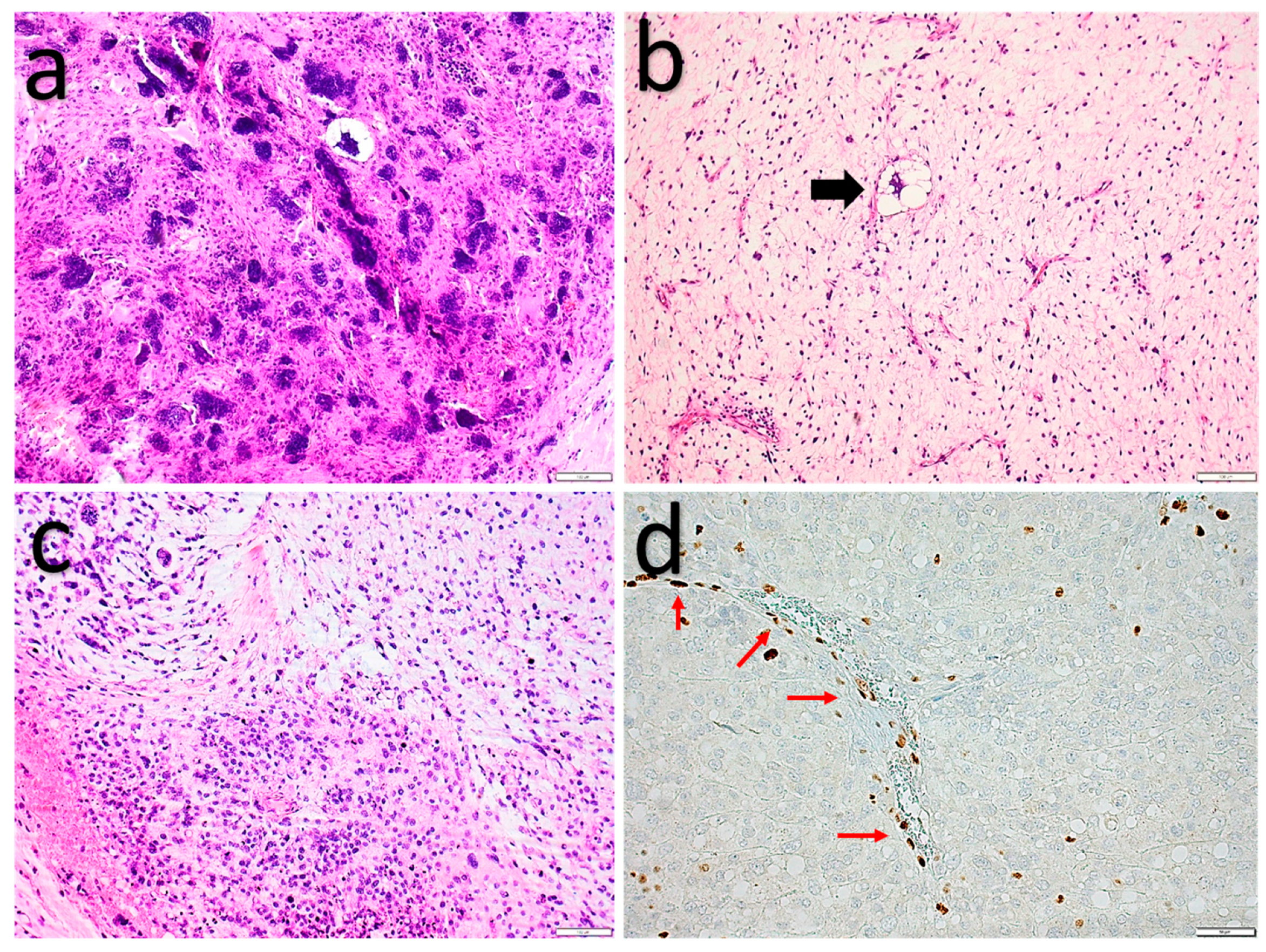 Diagnostics 11 00430 g005 Diagnostics 11 00430 g005
