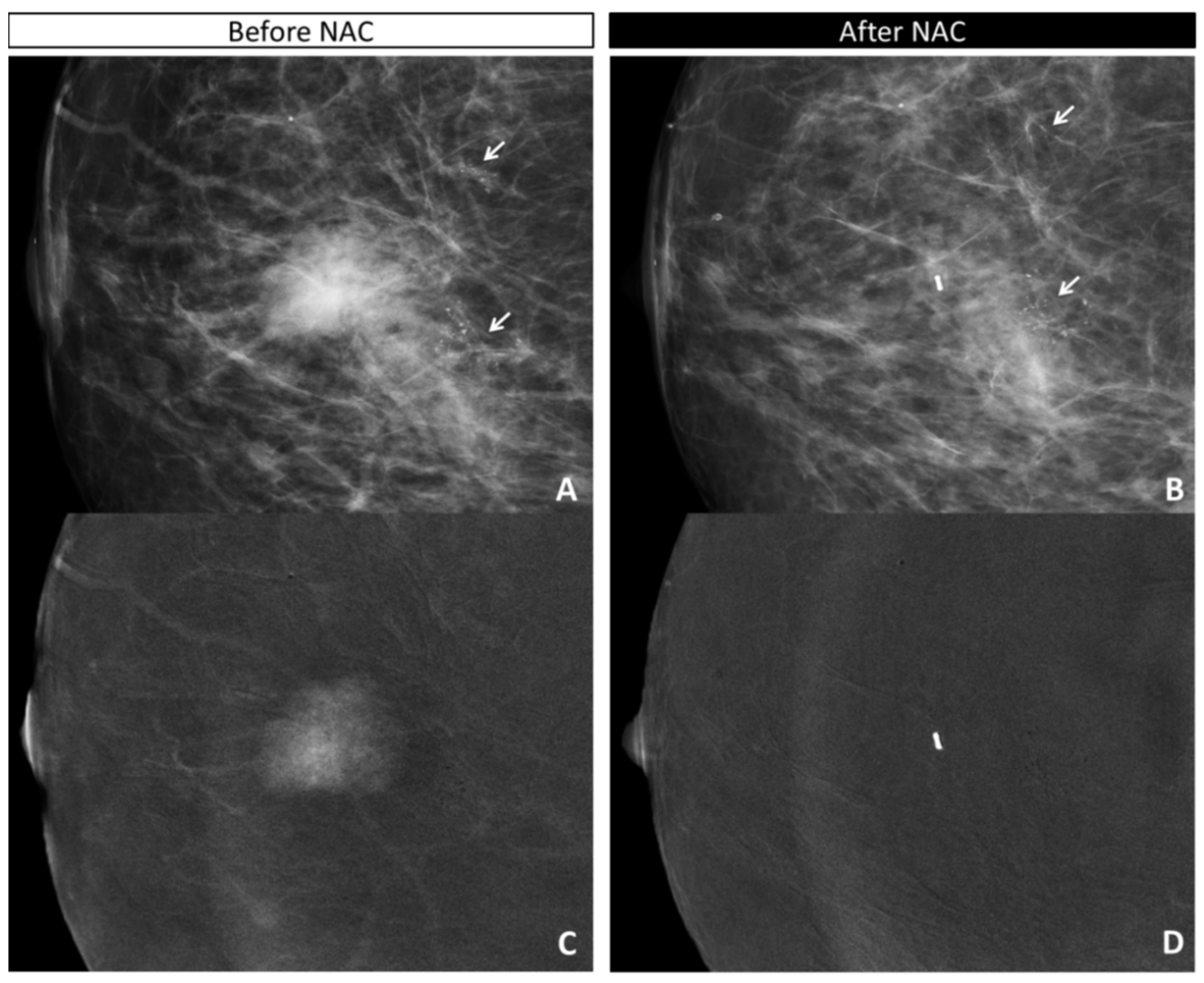Diagnostics 11 00435 g002
