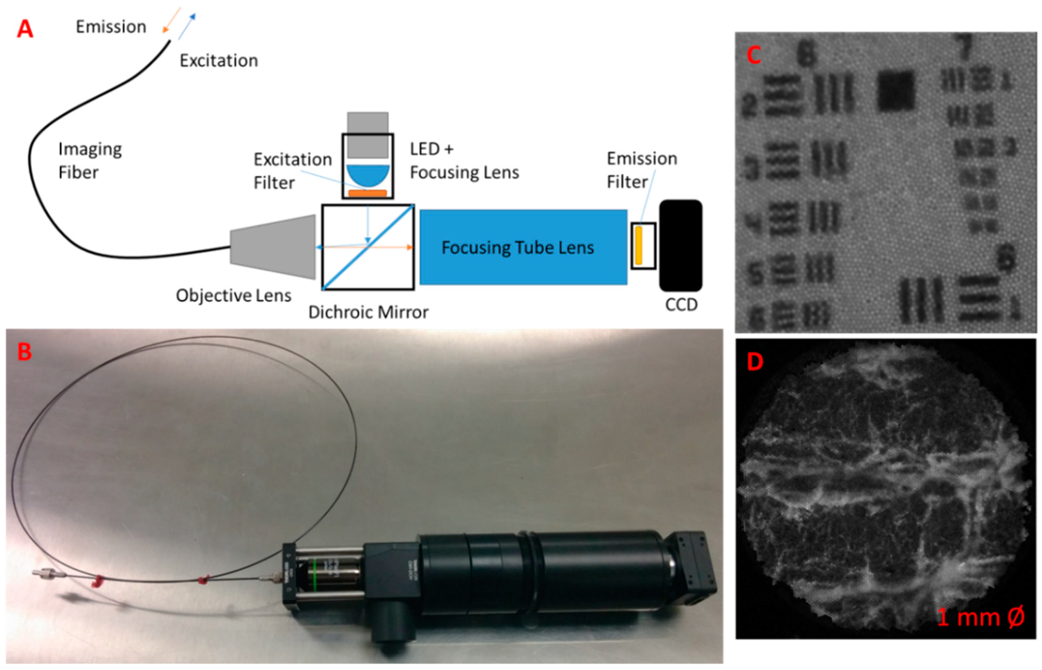 Diagnostics 11 00441 g002 Diagnostics 11 00441 g002