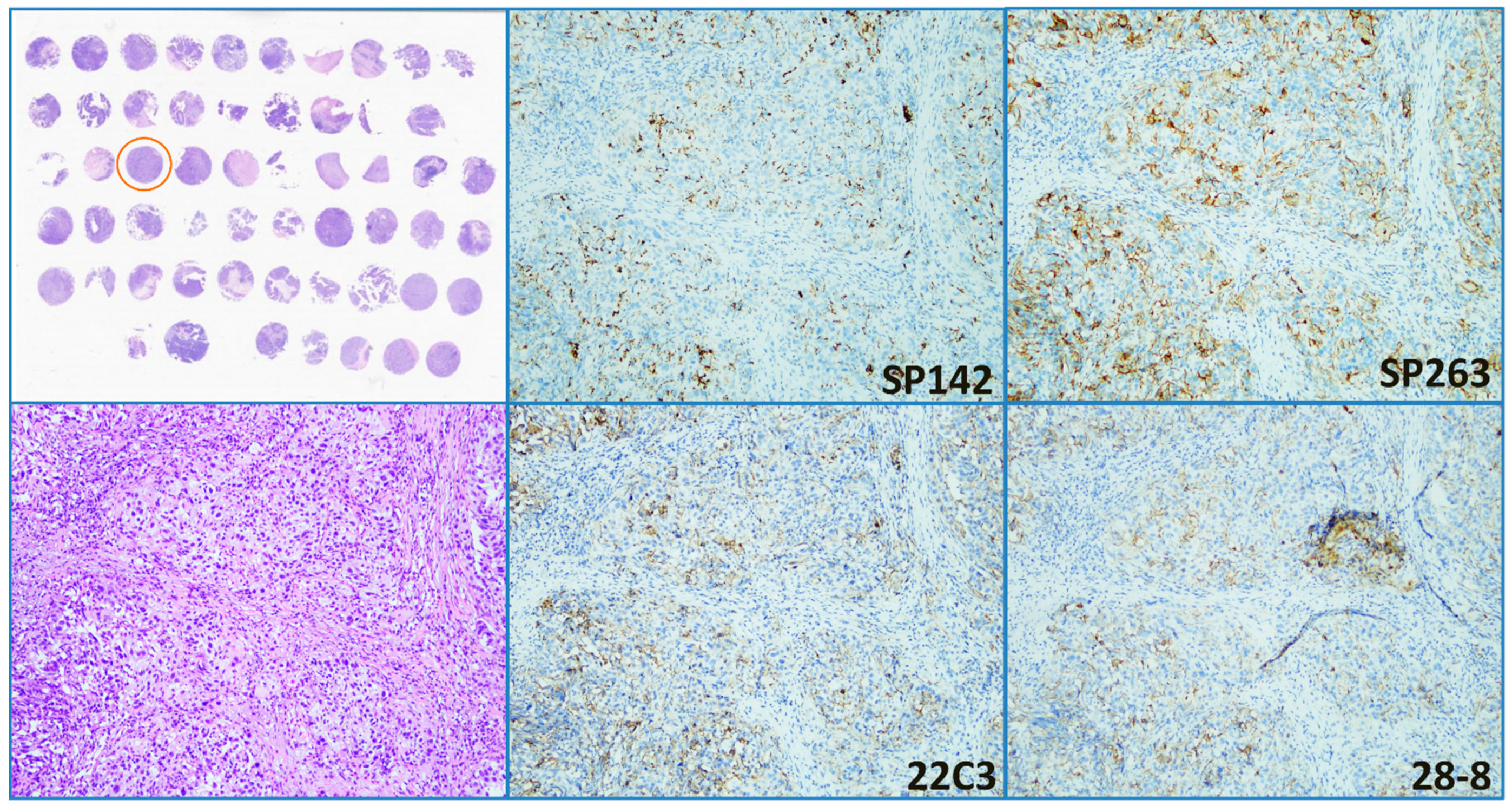 Diagnostics 11 00448 g004 Diagnostics 11 00448 g004