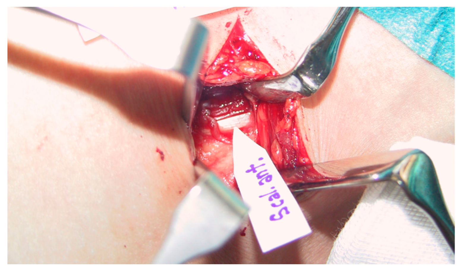 Diagnostics 11 00450 g002