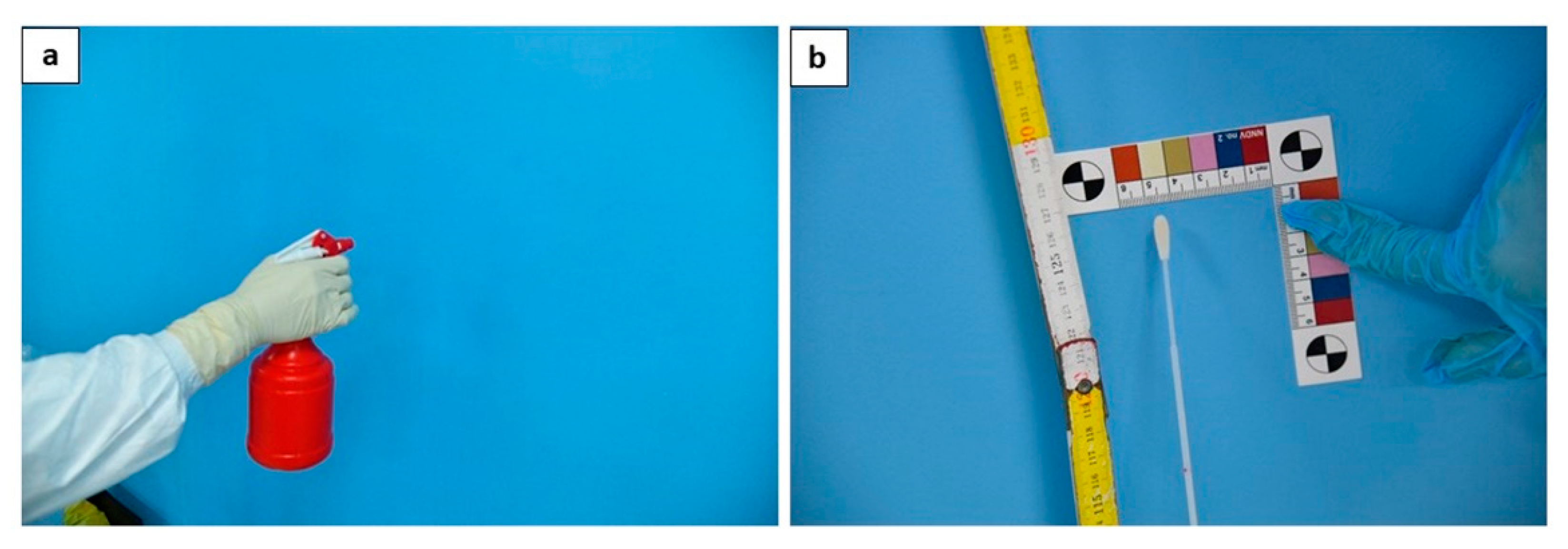 Diagnostics 11 00457 g004 Diagnostics 11 00457 g004