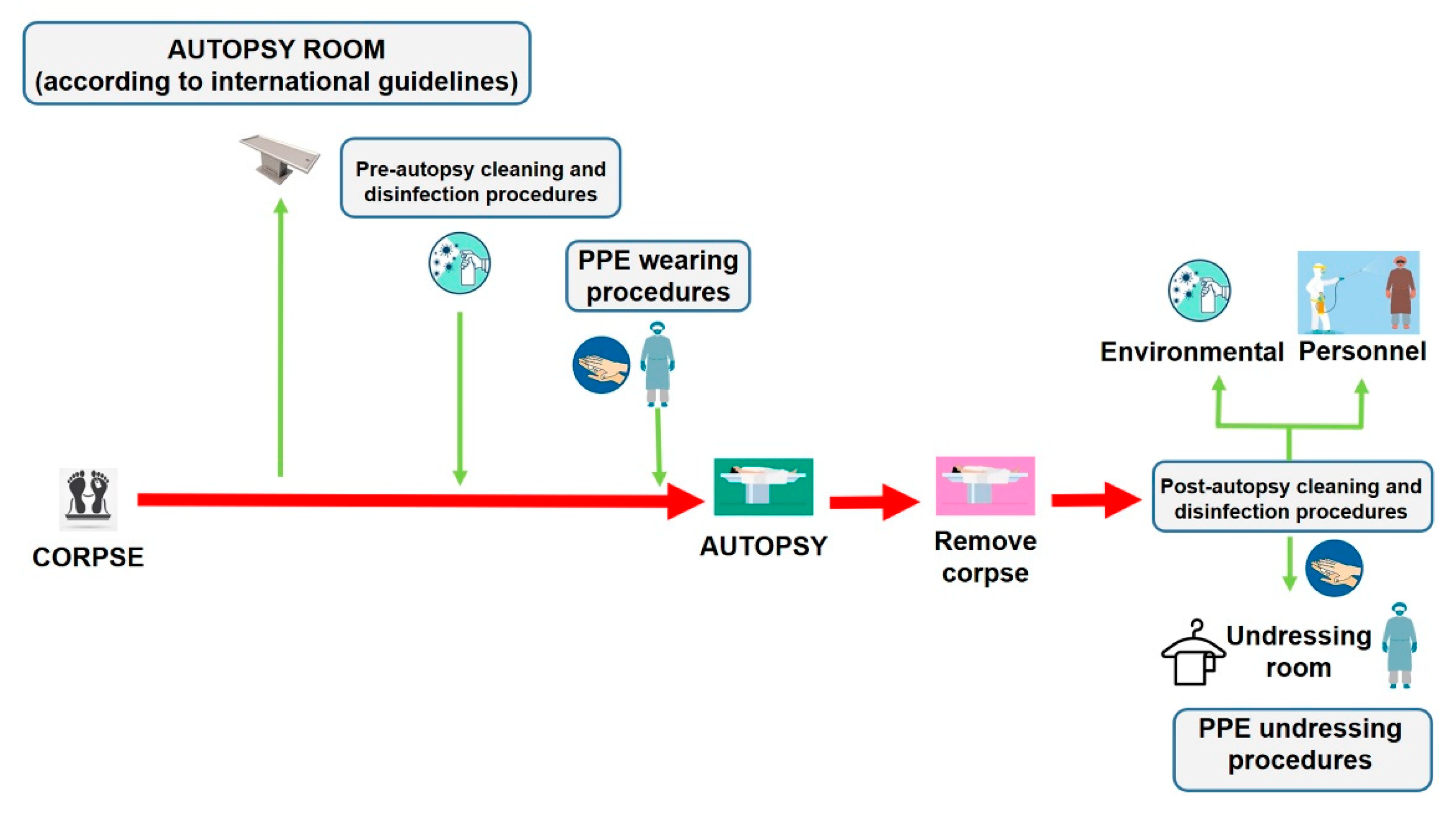 Diagnostics 11 00457 g005 Diagnostics 11 00457 g005