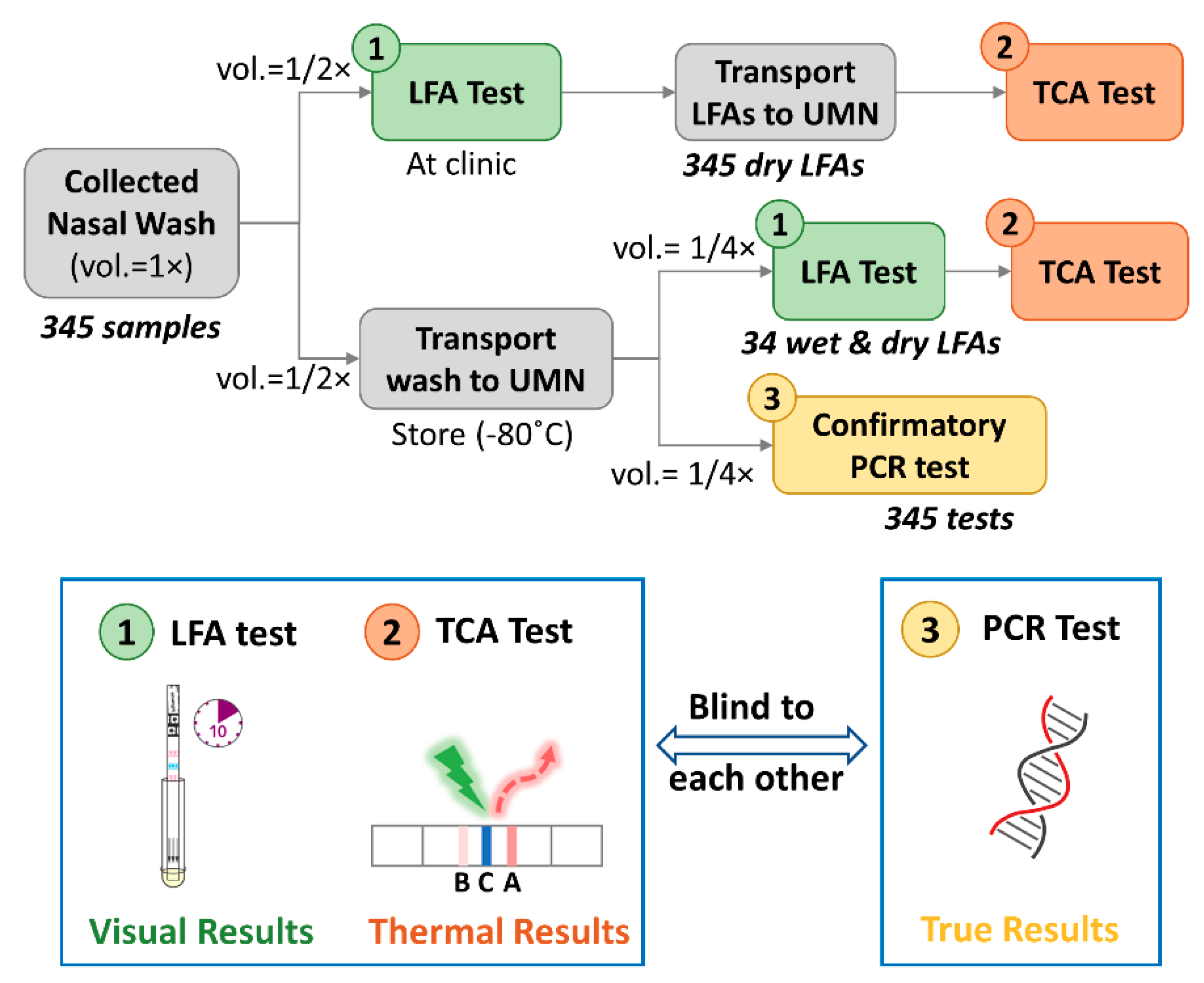 Diagnostics 11 00462 g001