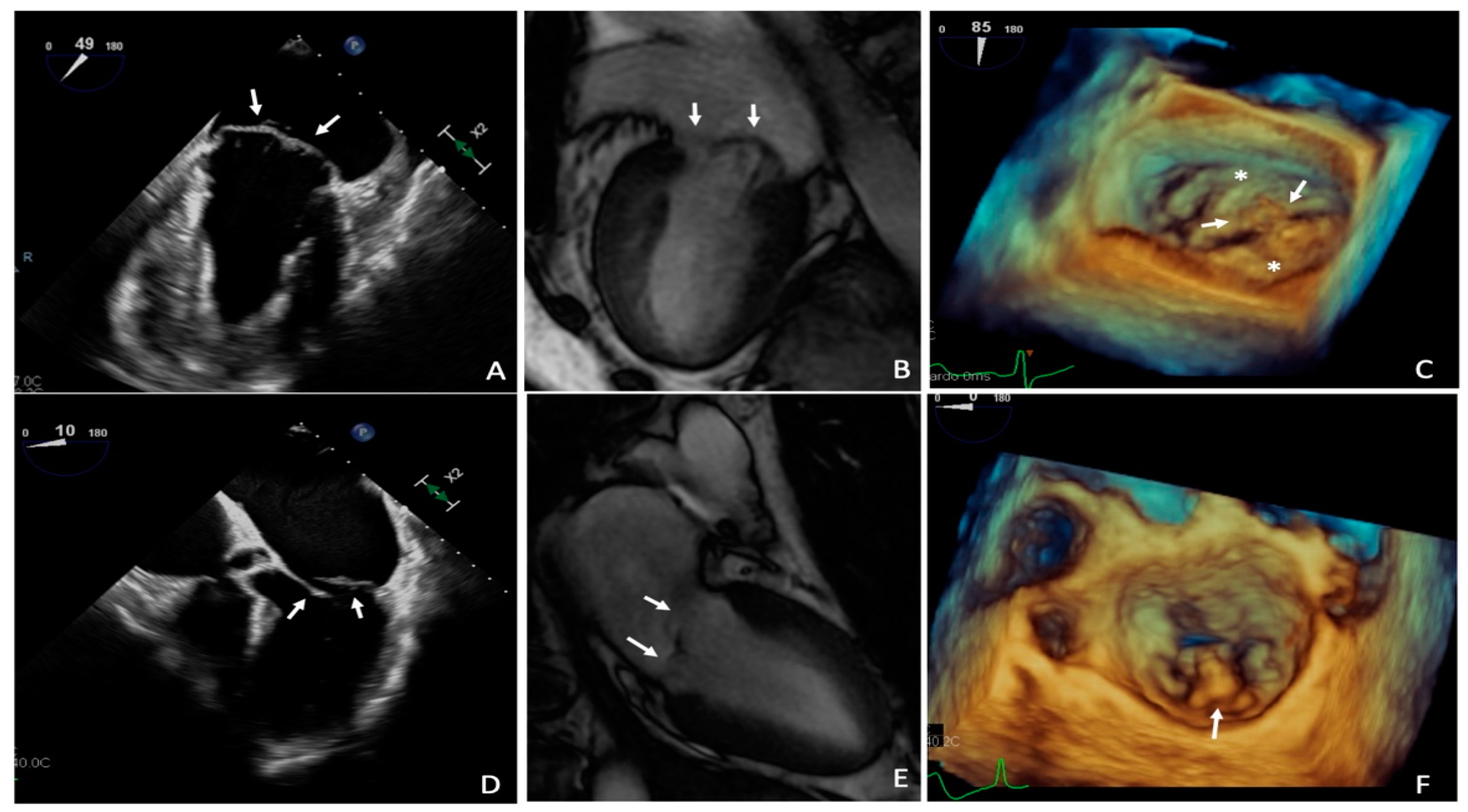 Diagnostics 11 00467 g002