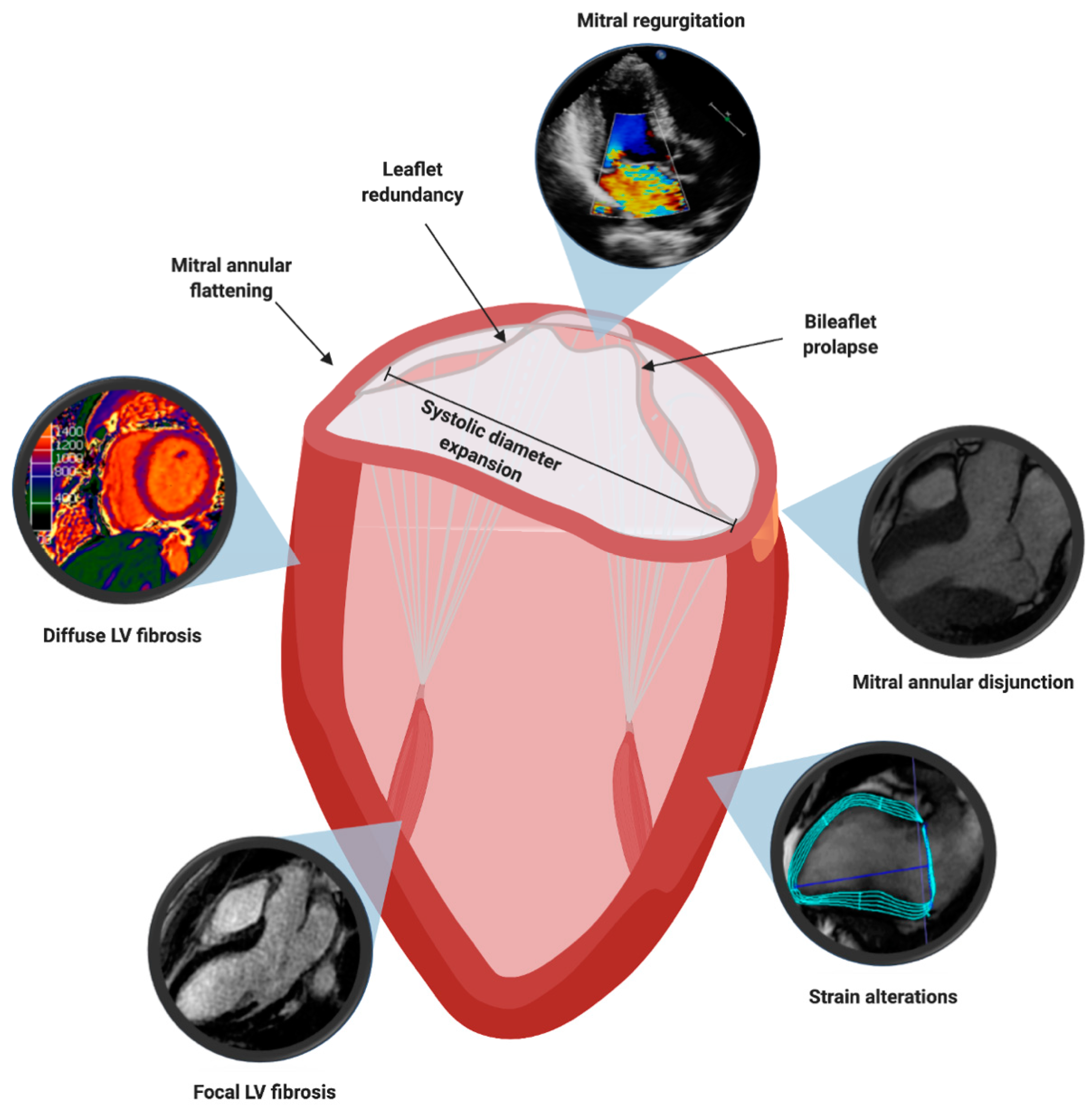 Diagnostics 11 00467 g004