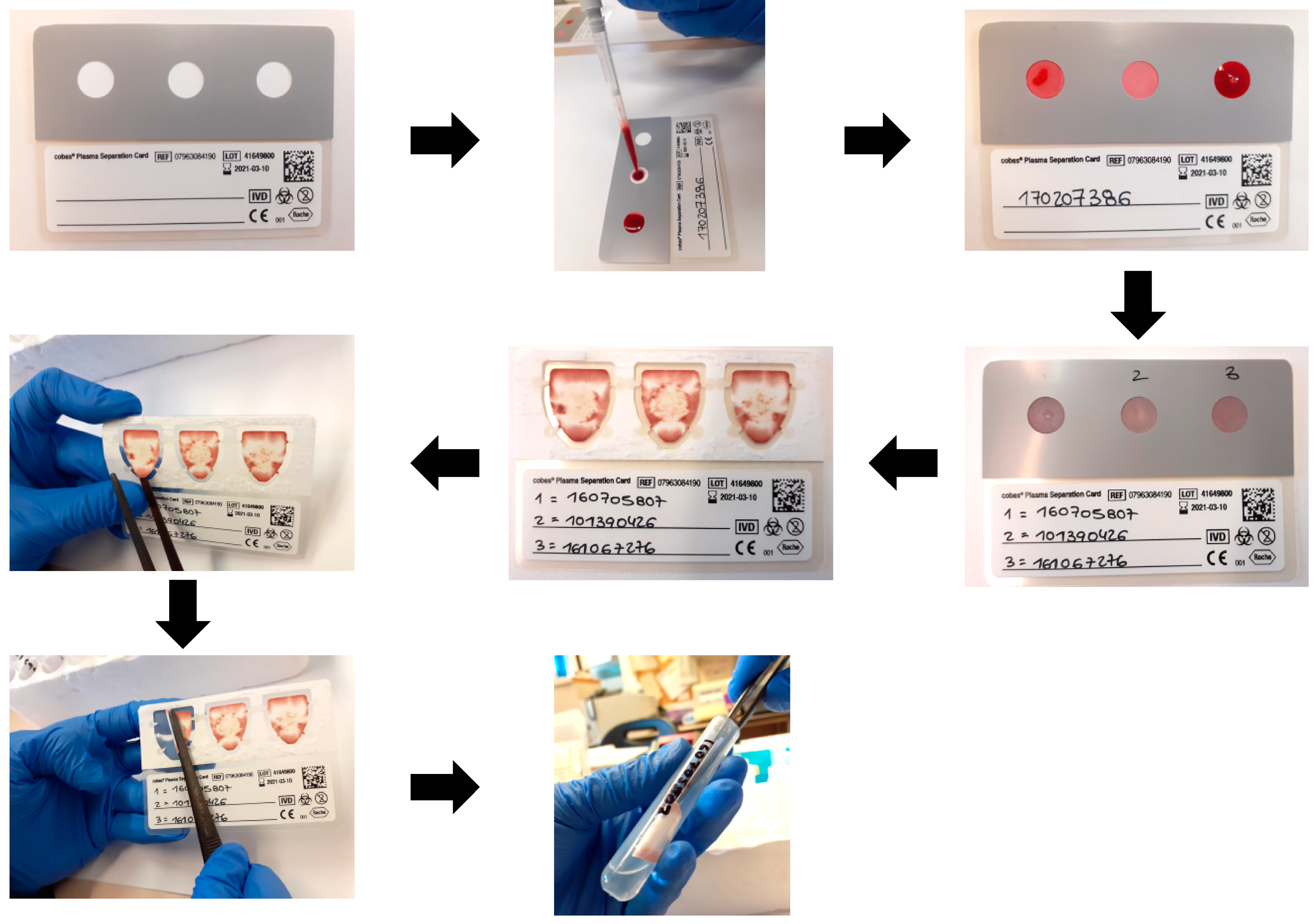 Diagnostics 11 00473 g001 Diagnostics 11 00473 g001