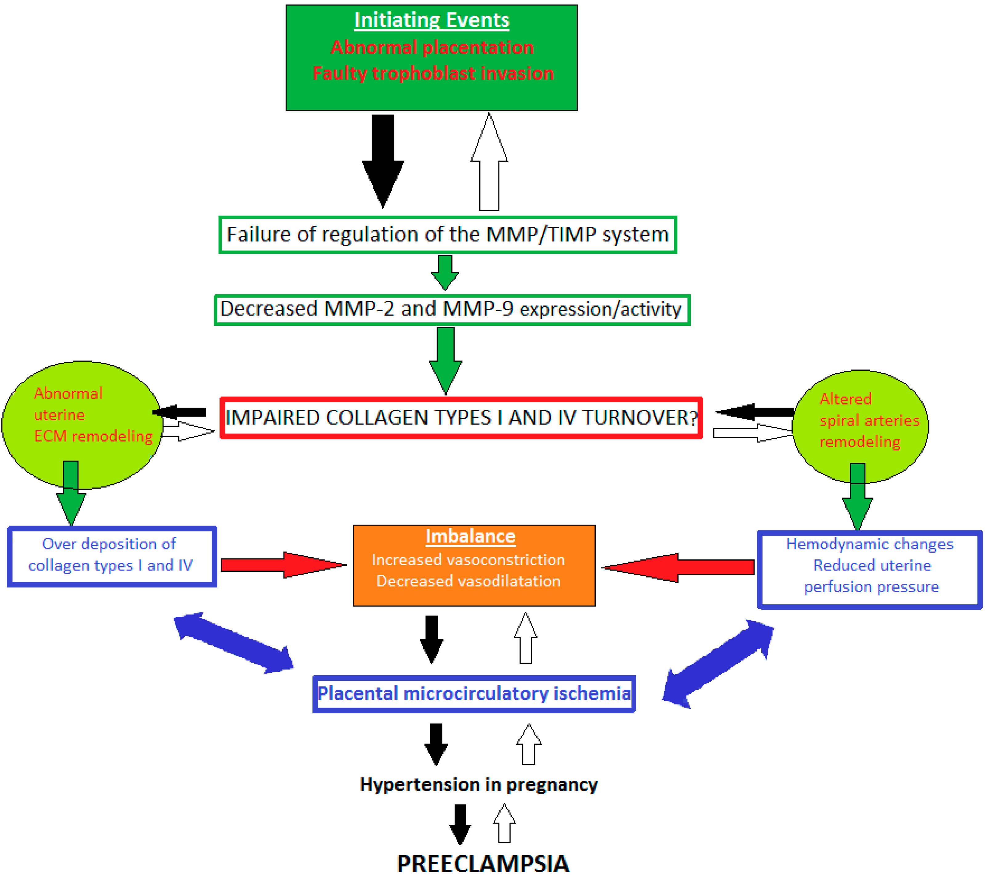 Diagnostics 11 00480 g001