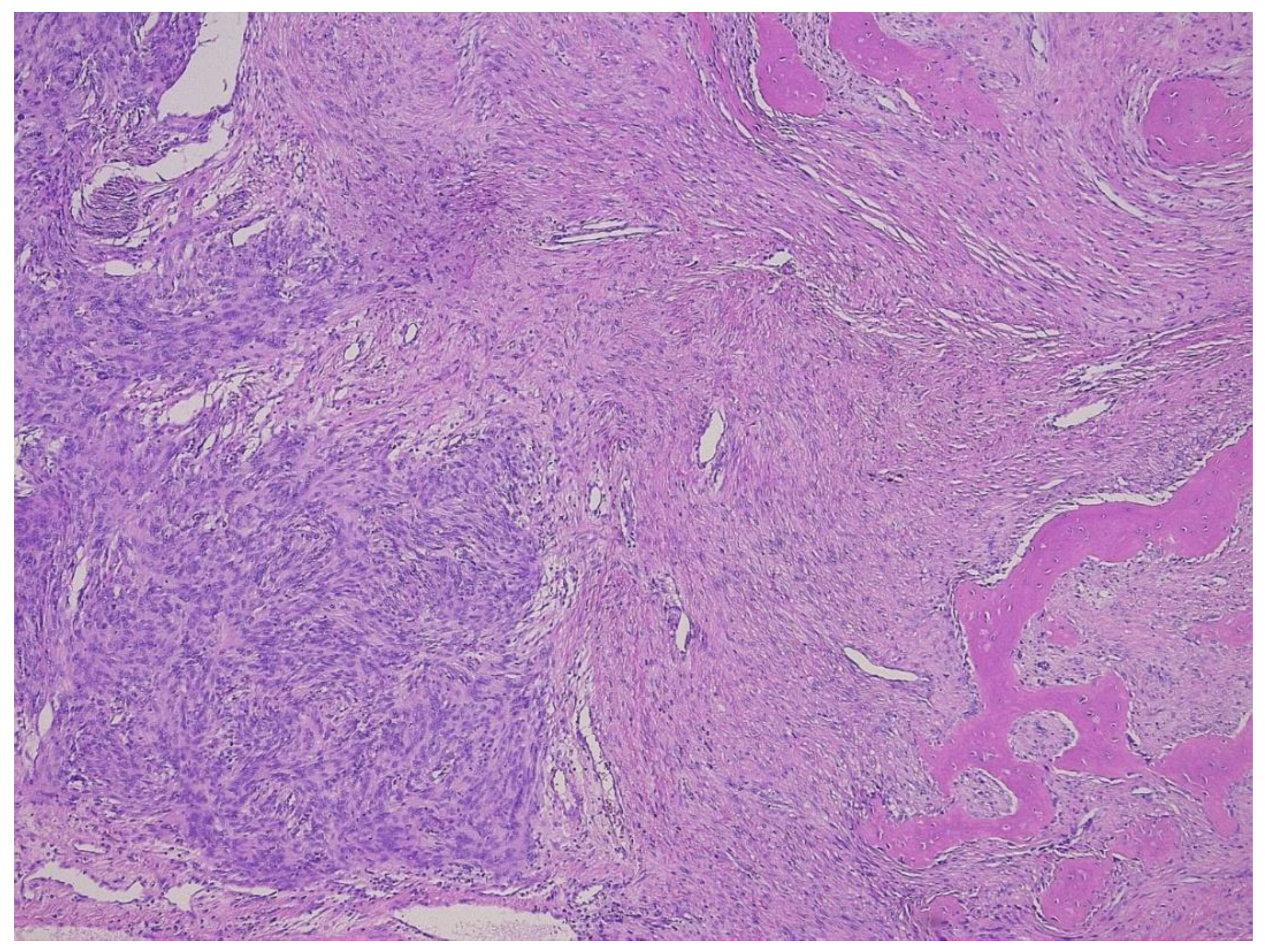 Diagnostics 11 00496 g009 Diagnostics 11 00496 g009