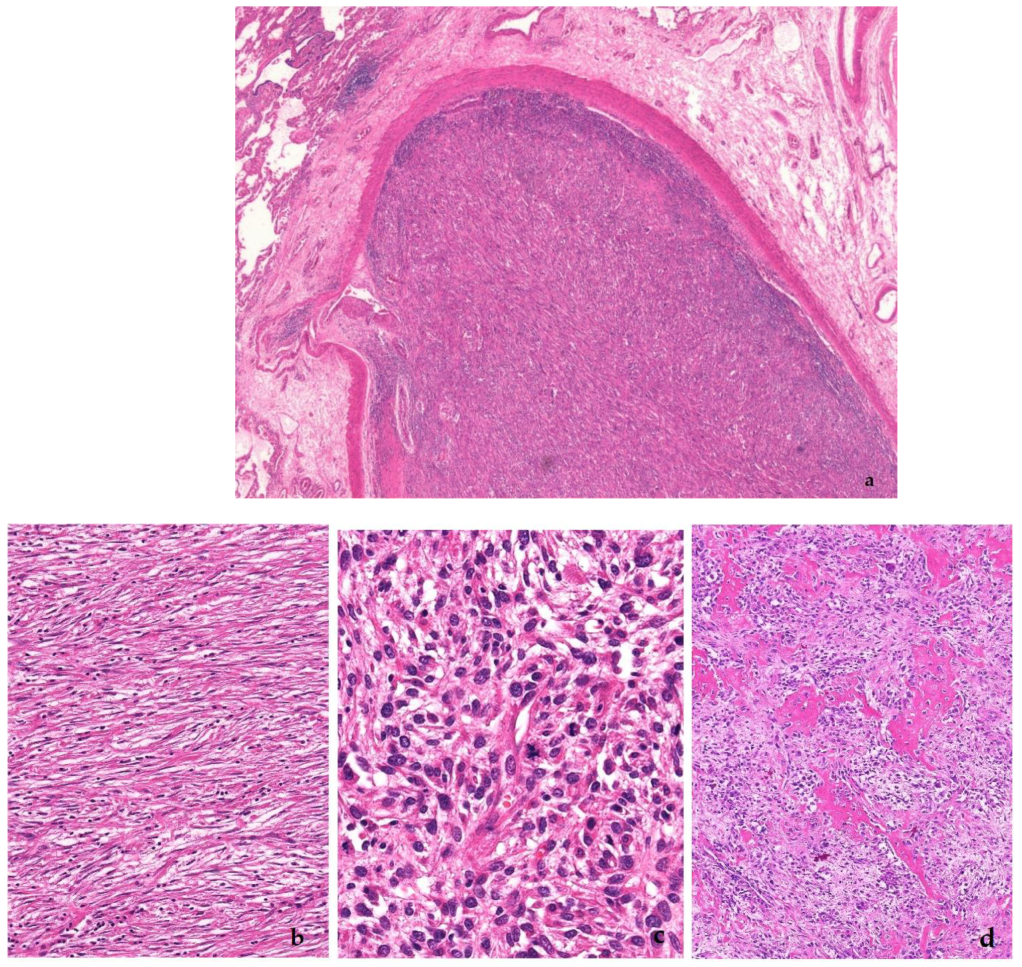 Diagnostics 11 00496 g010a Diagnostics 11 00496 g010a