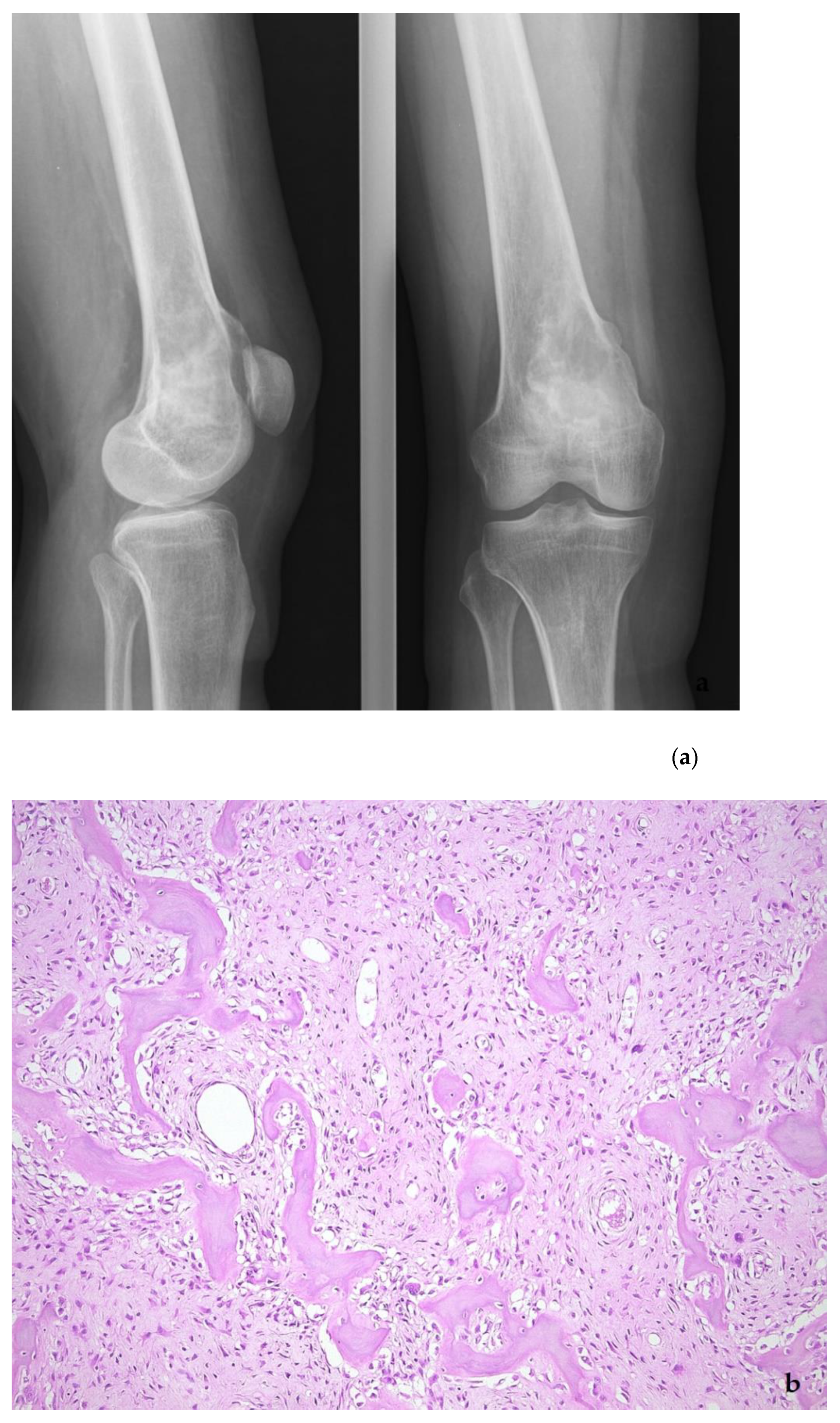 Diagnostics 11 00496 g012a Diagnostics 11 00496 g012a