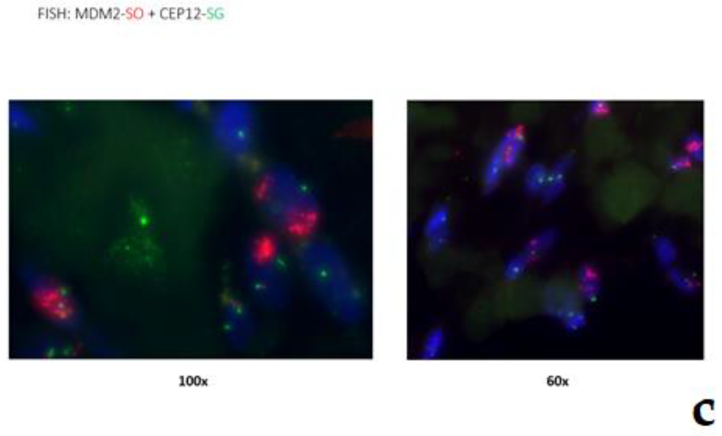 Diagnostics 11 00496 g012b Diagnostics 11 00496 g012b