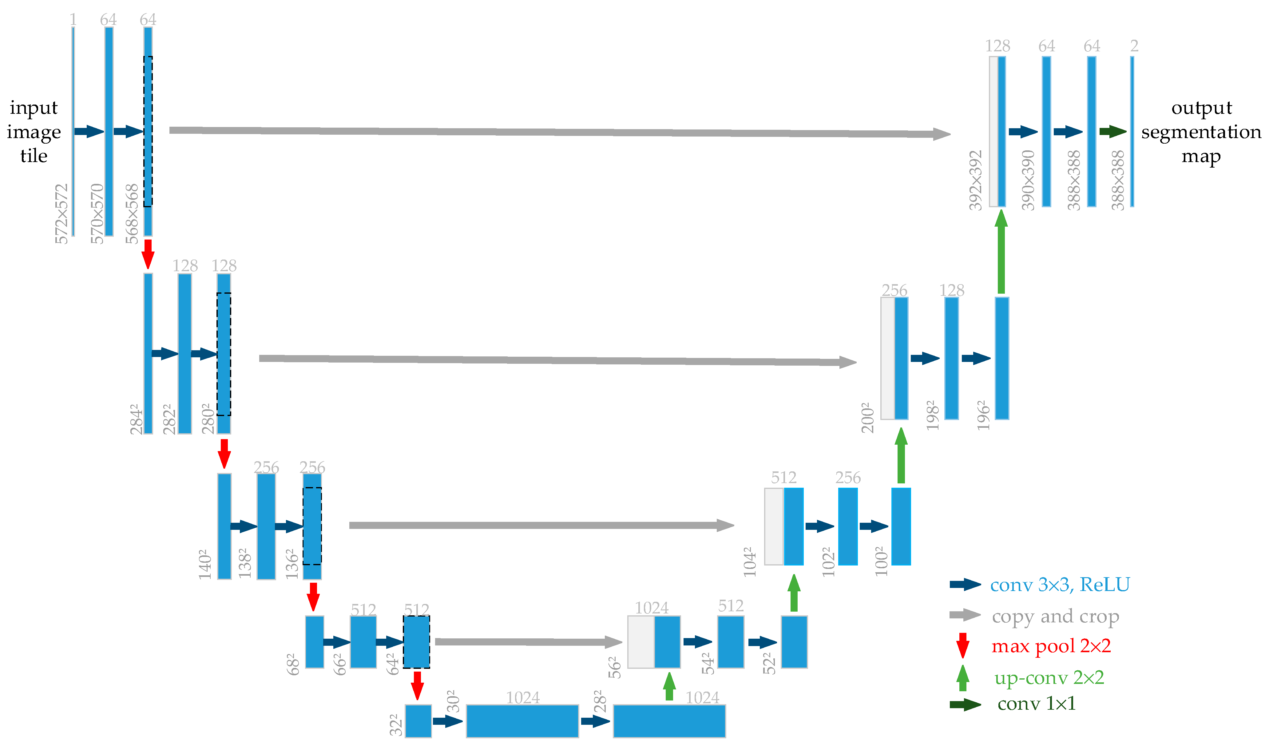 Diagnostics 11 00501 g002