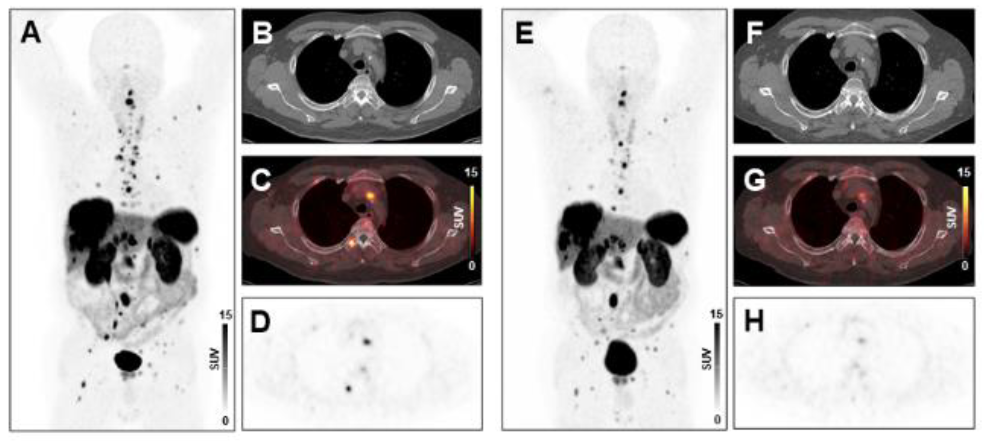 Diagnostics 11 00504 g002