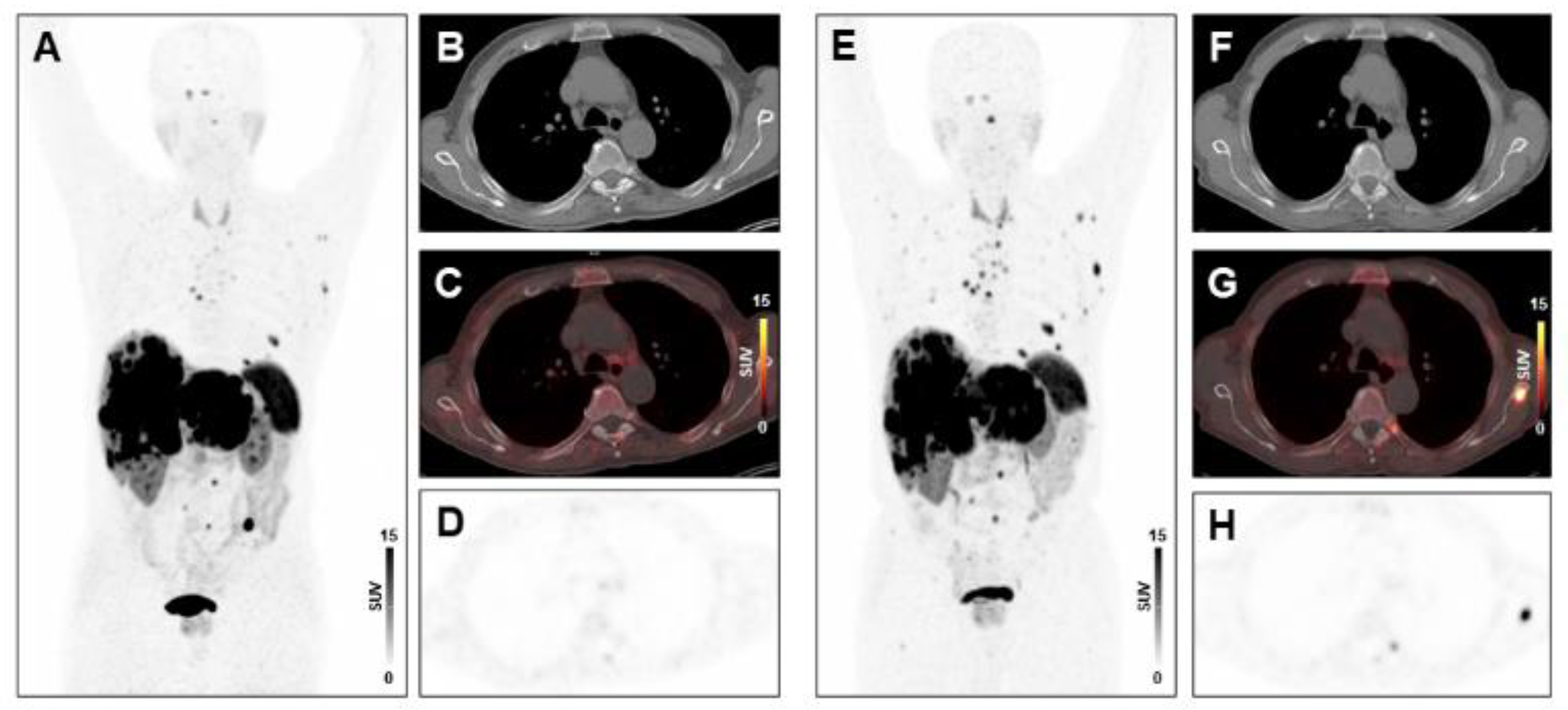 Diagnostics 11 00504 g003
