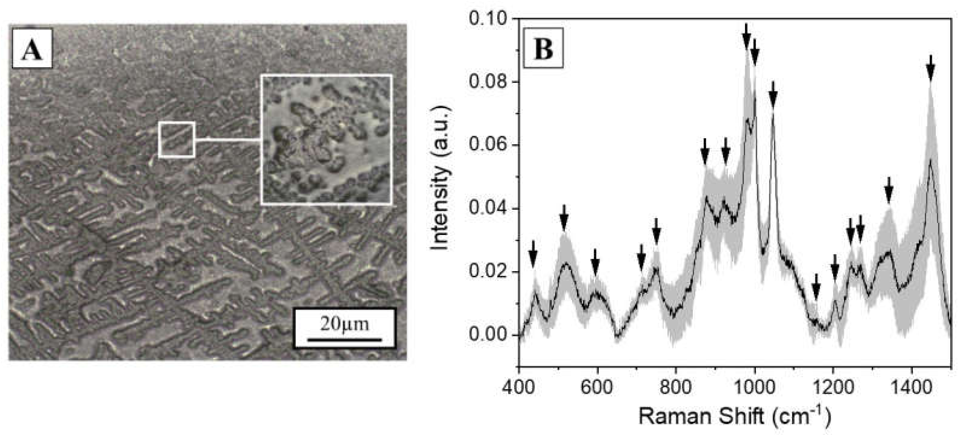 Diagnostics 11 00508 g001