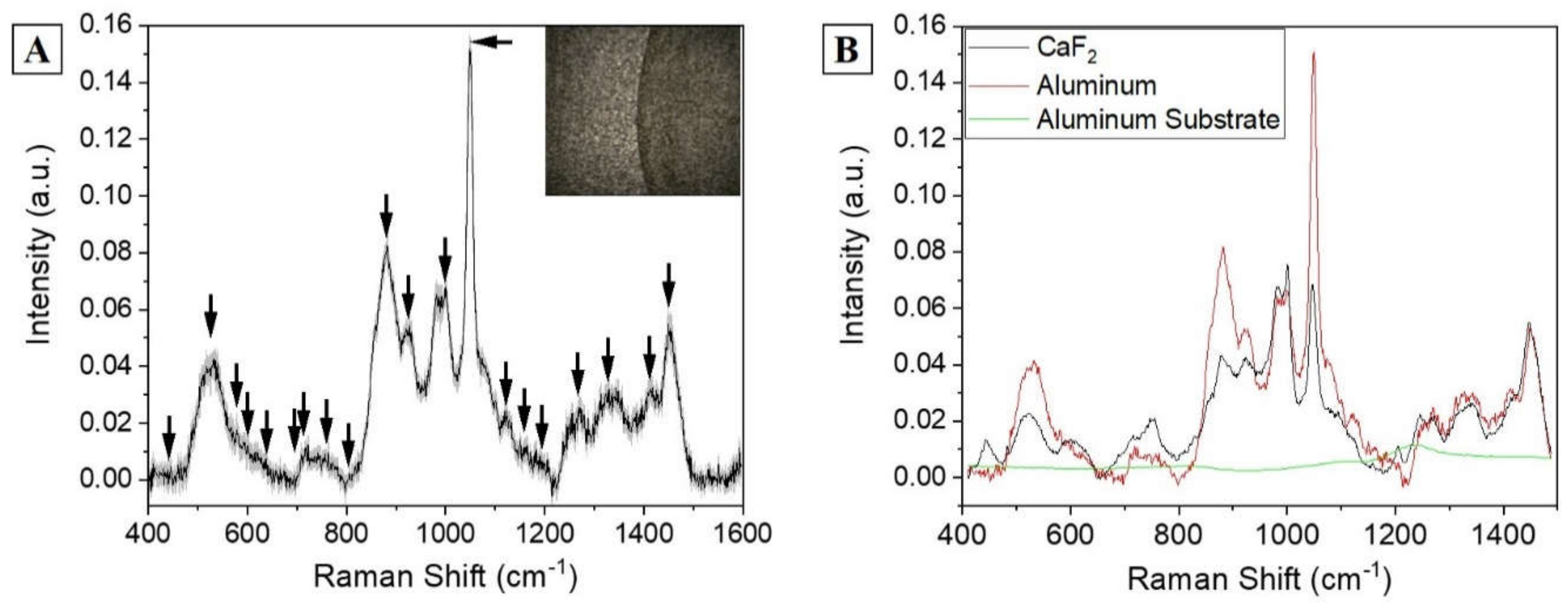 Diagnostics 11 00508 g002