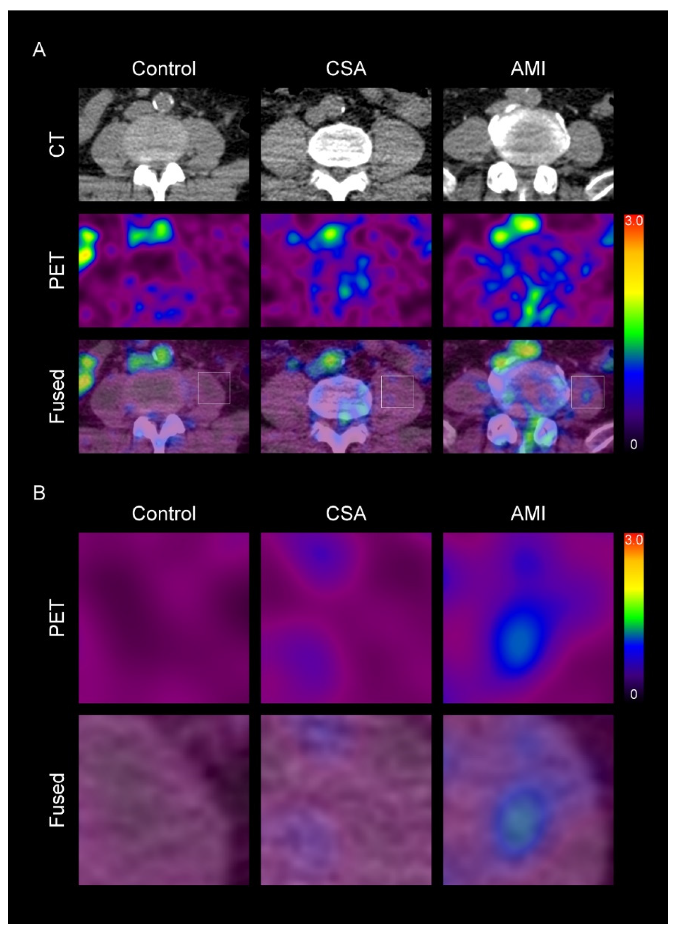 Diagnostics 11 00511 g001