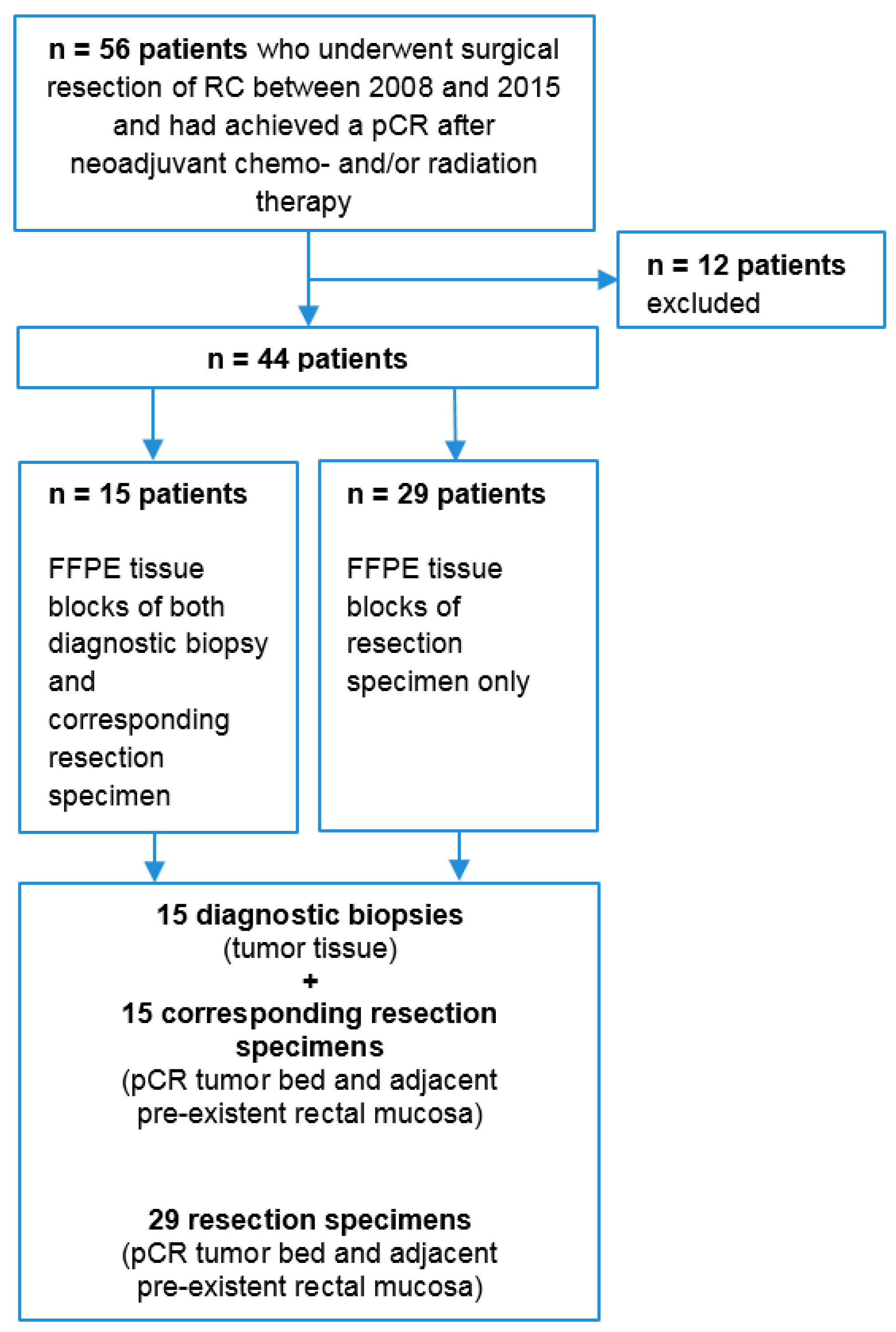 Diagnostics 11 00516 g001 Diagnostics 11 00516 g001