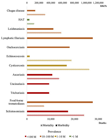 Diagnostics 11 00521 g001
