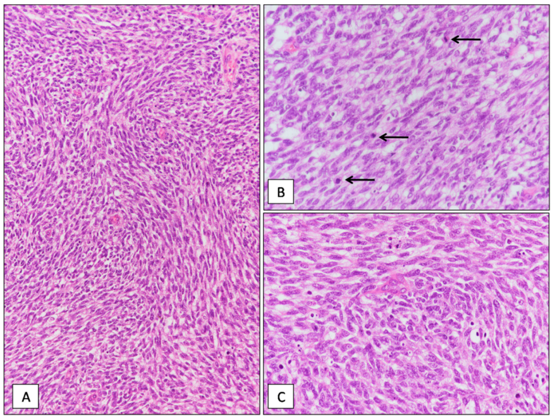 Diagnostics 11 00545 g002
