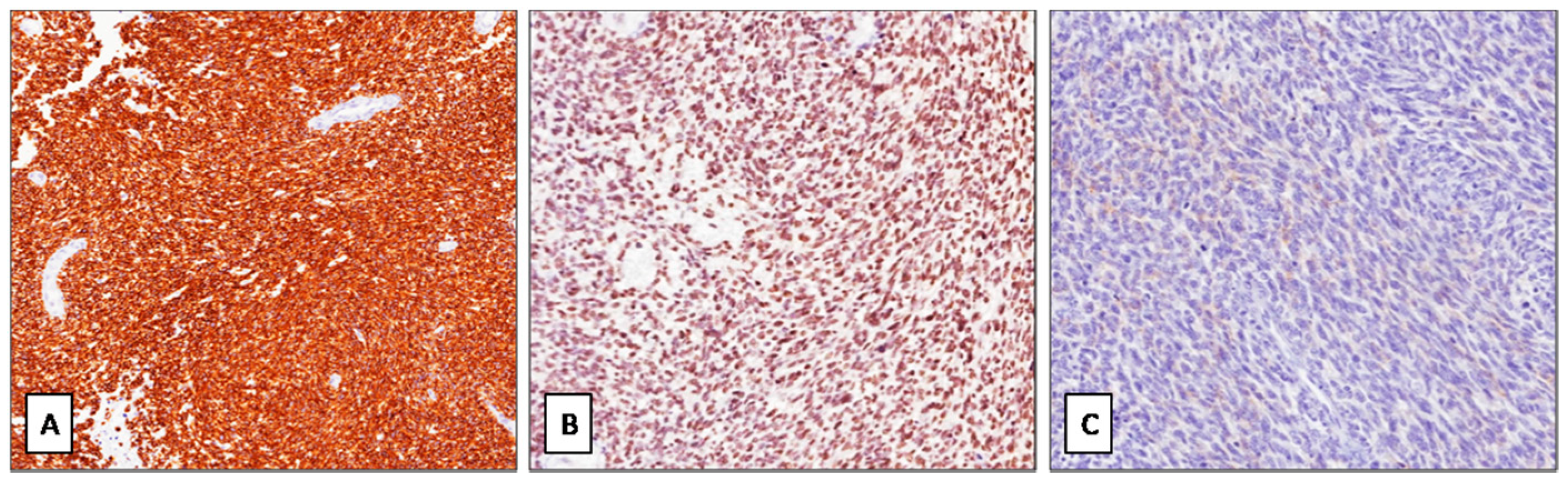 Diagnostics 11 00545 g003