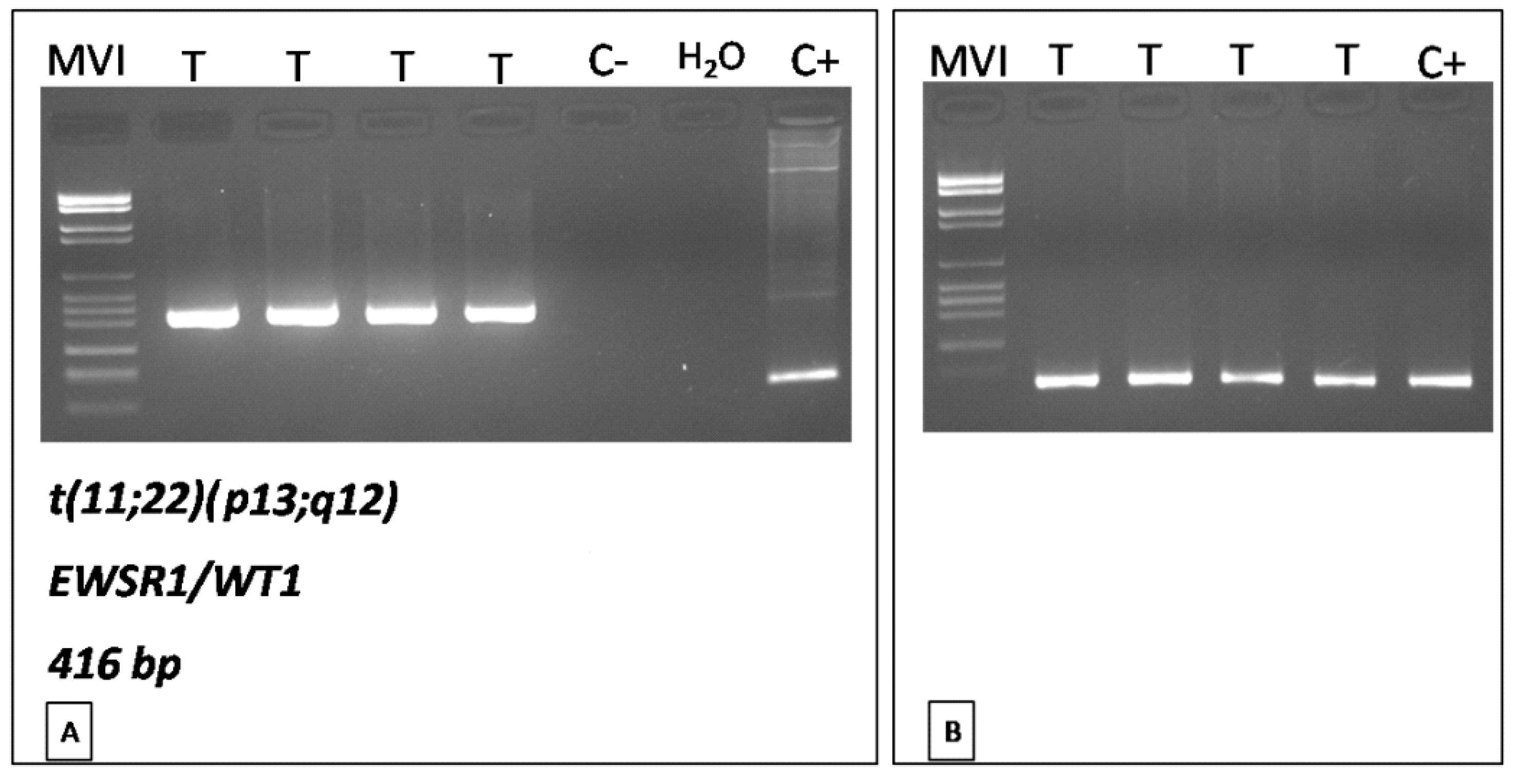 Diagnostics 11 00545 g004