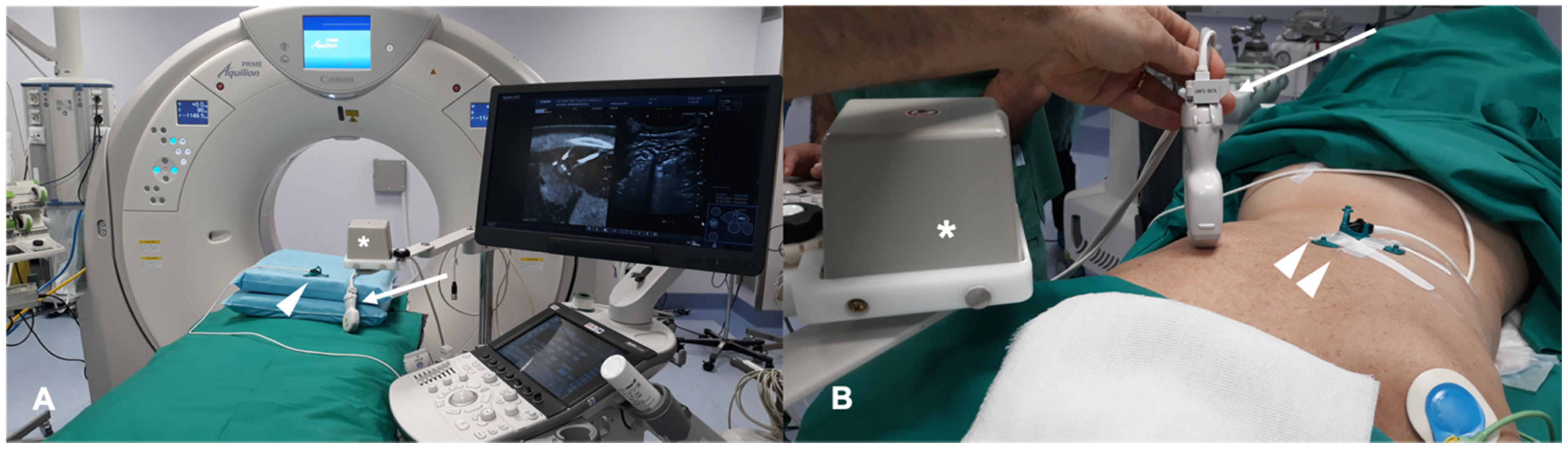 Diagnostics 11 00549 g001
