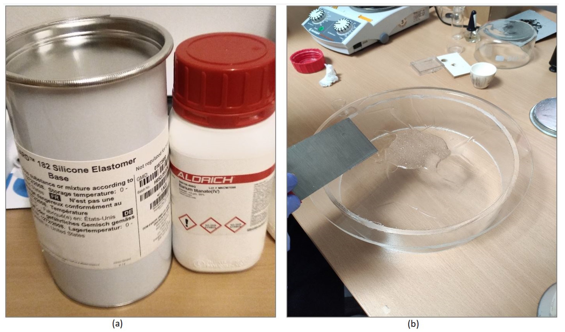 Diagnostics 11 00550 g003